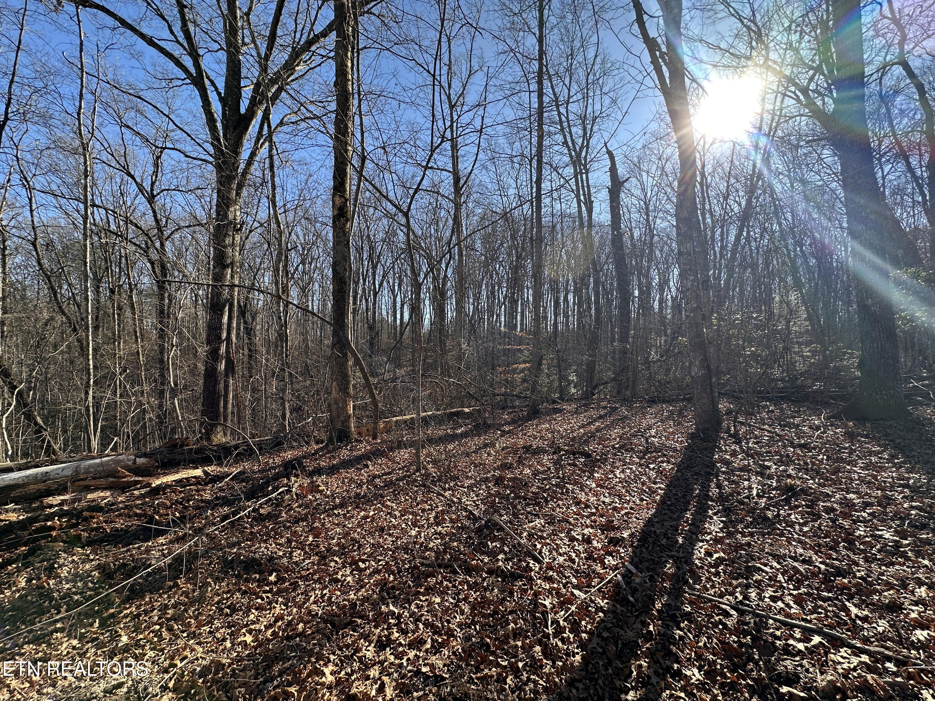 14.53 Ac Pickett Park Highway Jamestown TN 38556