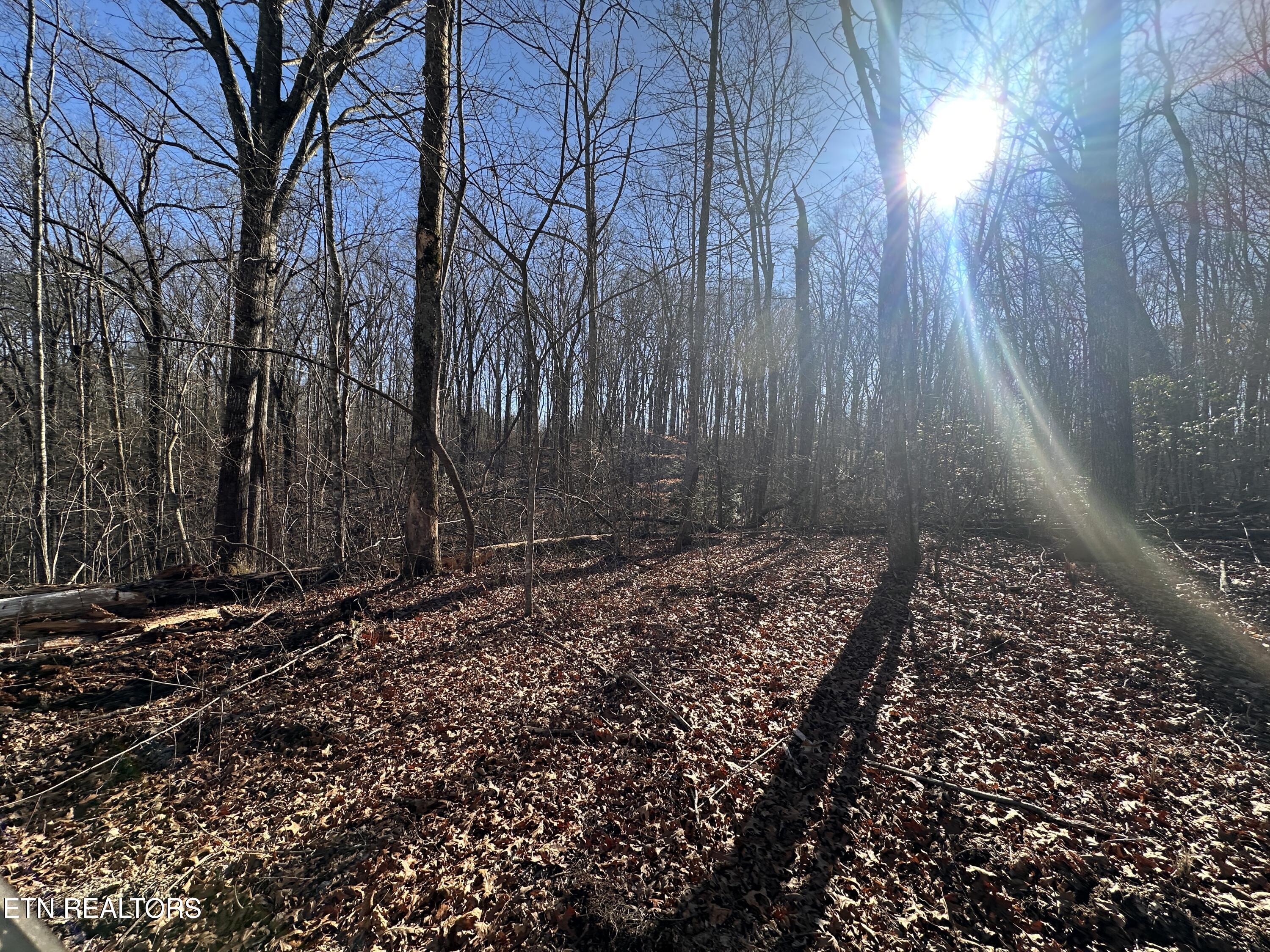 14.53 Ac Pickett Park Highway Jamestown TN 38556