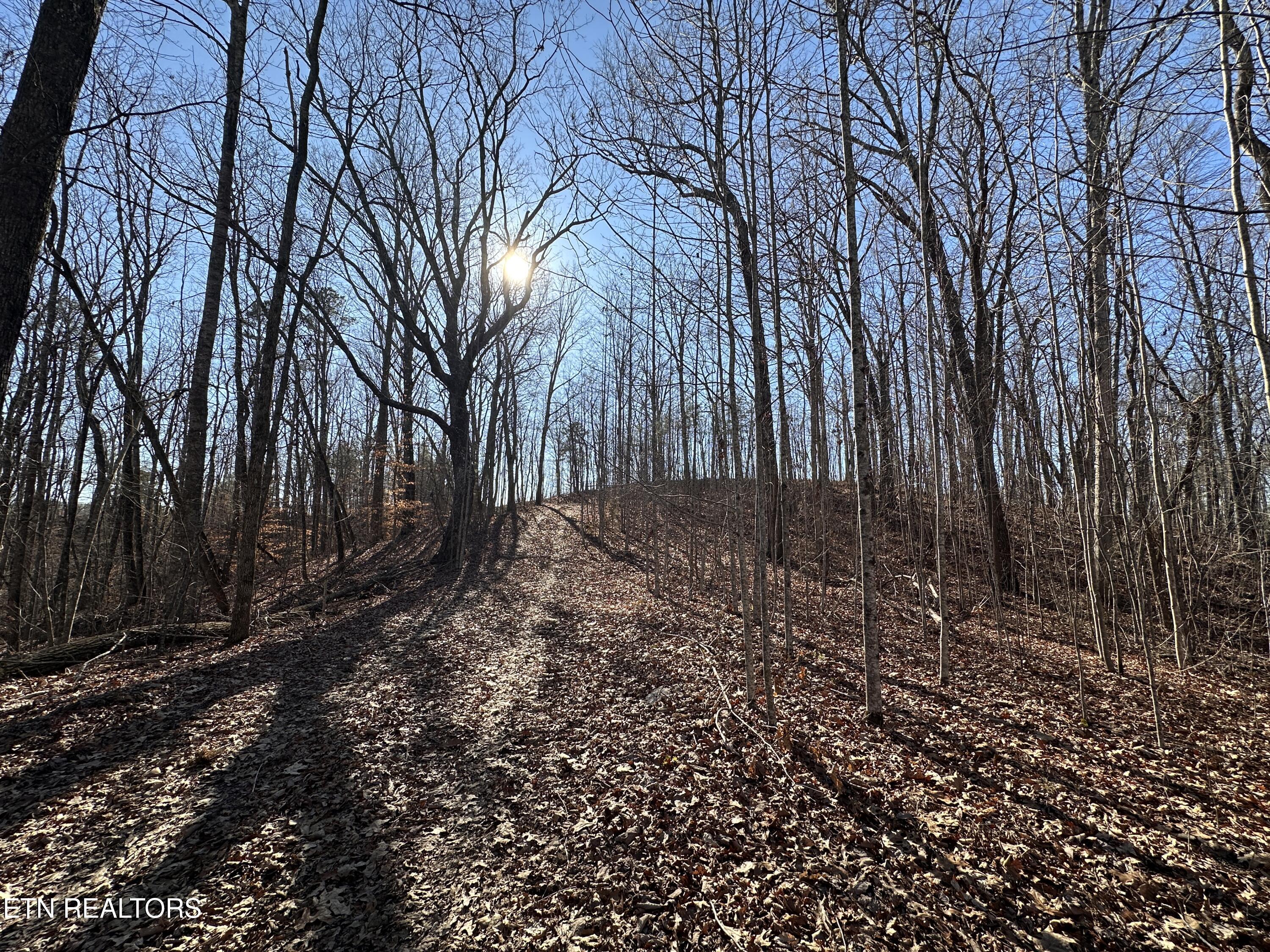 14.53 Ac Pickett Park Highway Jamestown TN 38556