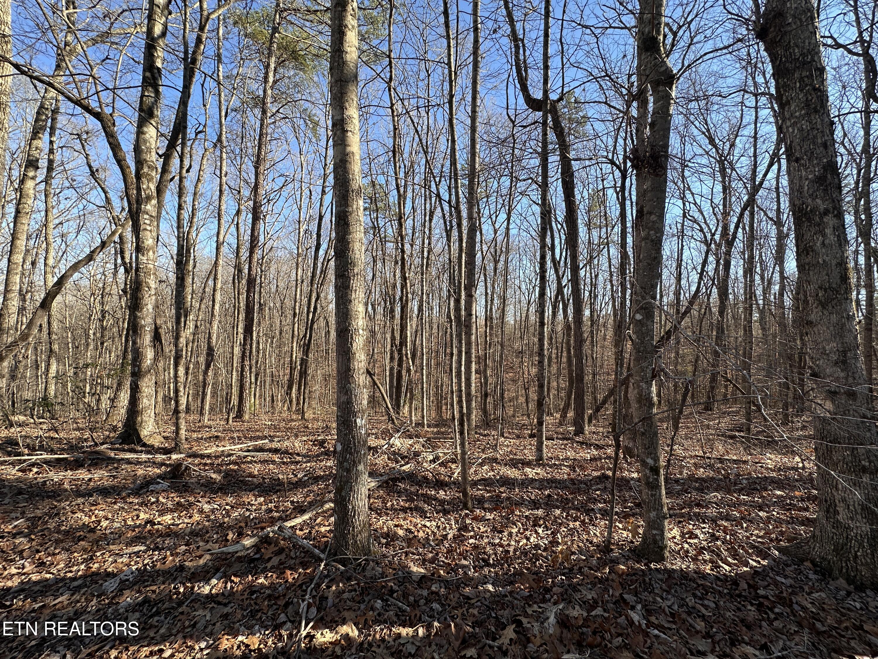 14.53 Ac Pickett Park Highway Jamestown TN 38556