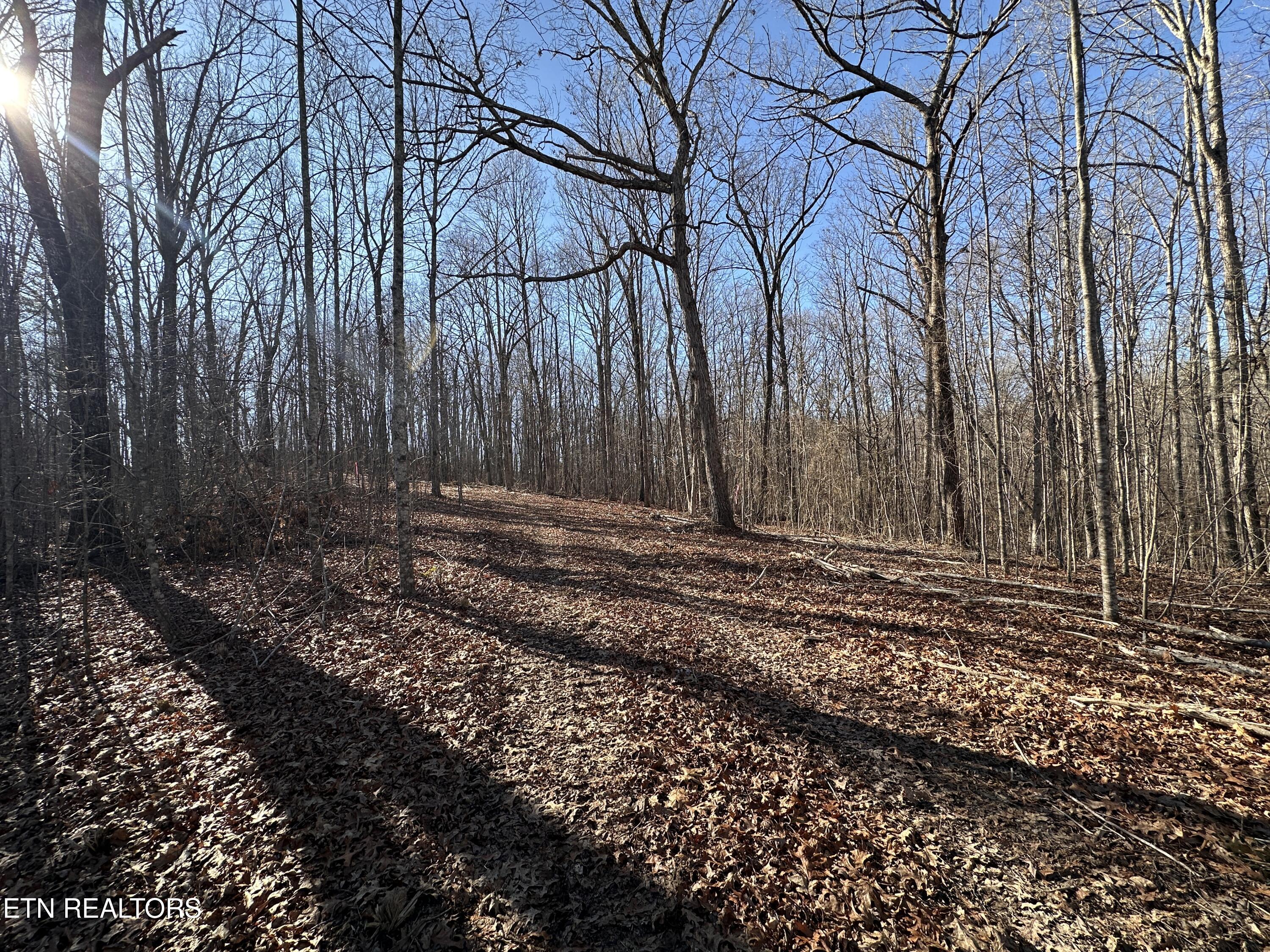 14.53 Ac Pickett Park Highway Jamestown TN 38556