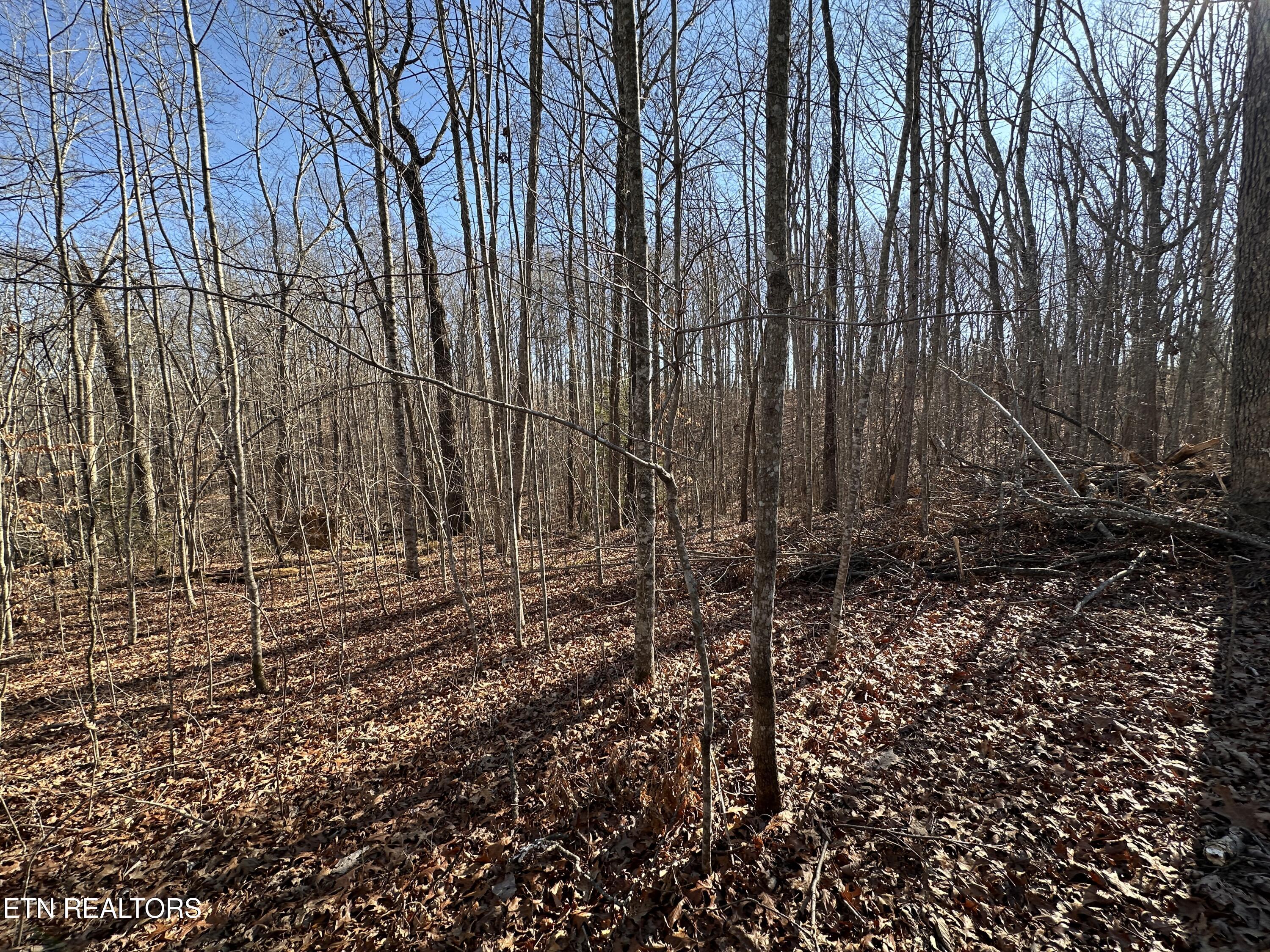 14.53 Ac Pickett Park Highway Jamestown TN 38556