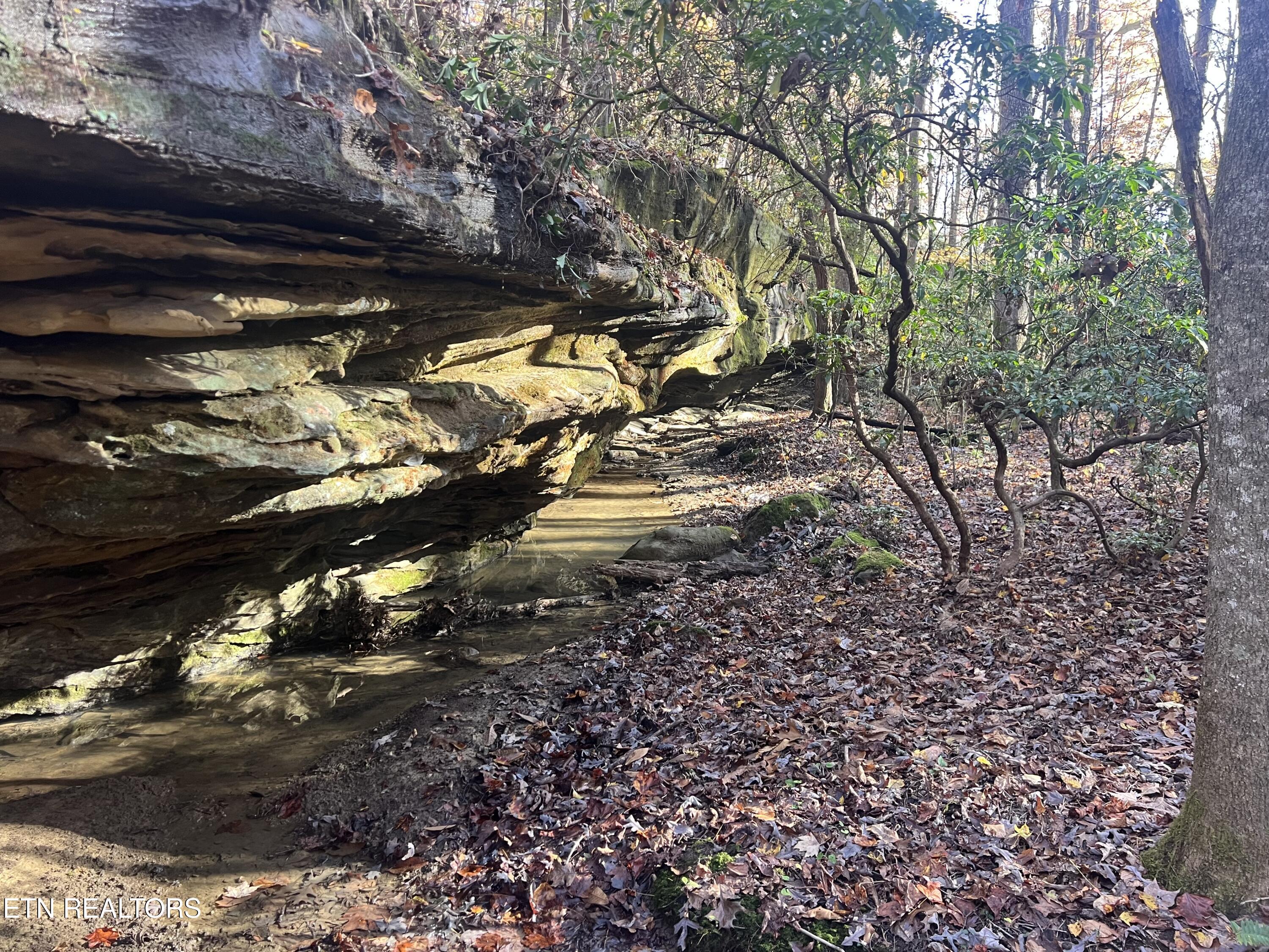 14.53 Ac Pickett Park Highway Jamestown TN 38556