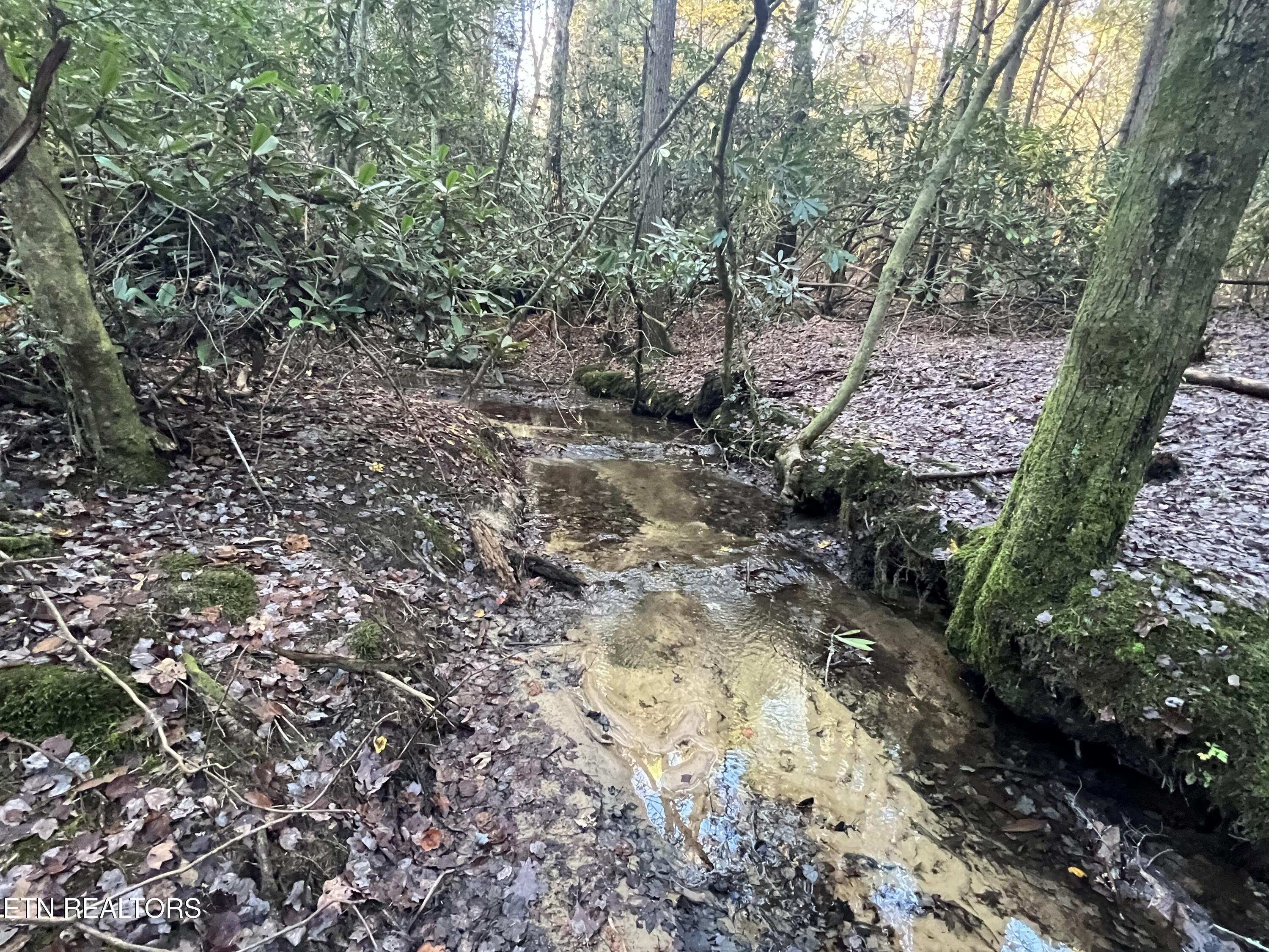 14.53 Ac Pickett Park Highway Jamestown TN 38556