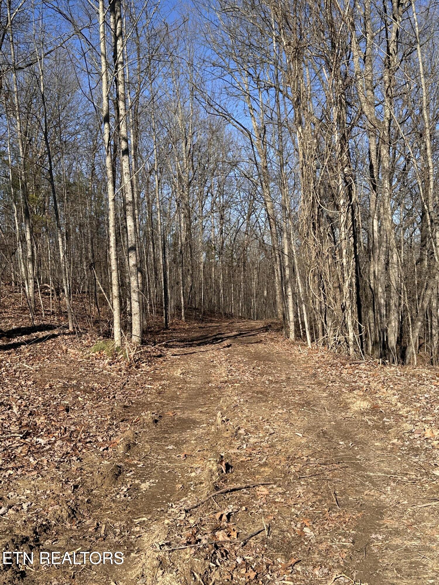 14.53 Ac Pickett Park Highway Jamestown TN 38556