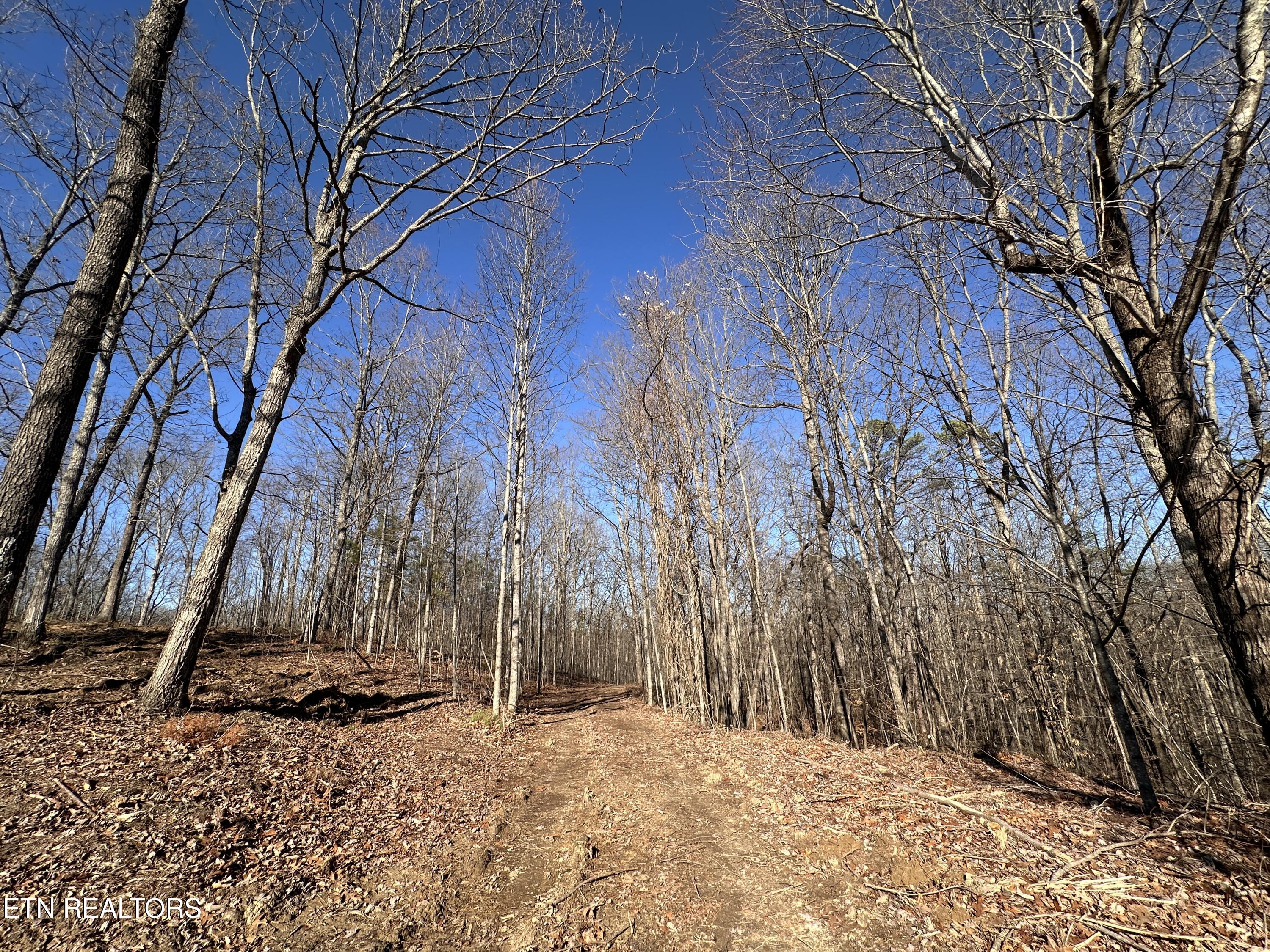 14.53 Ac Pickett Park Highway Jamestown TN 38556