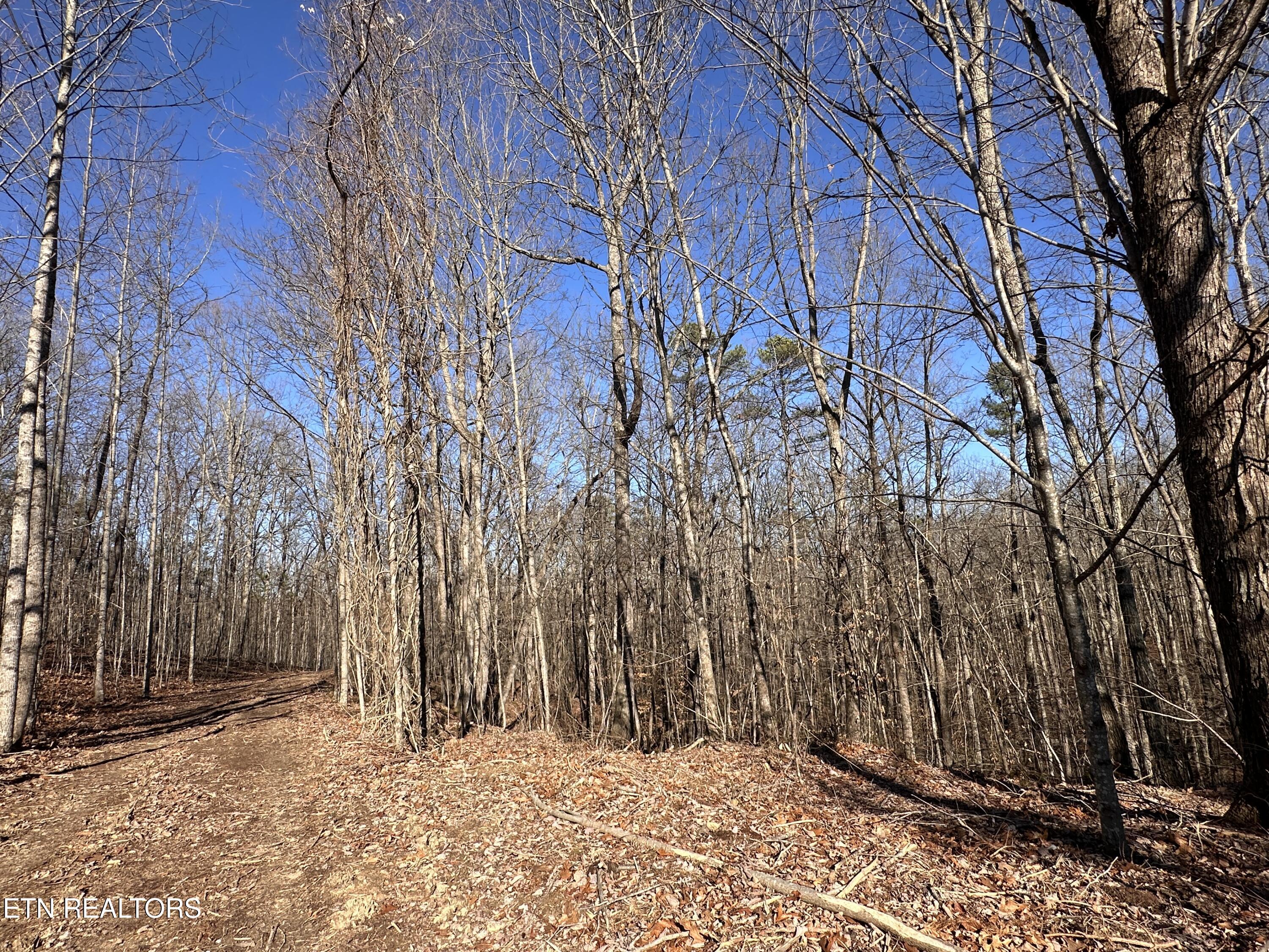 14.53 Ac Pickett Park Highway Jamestown TN 38556