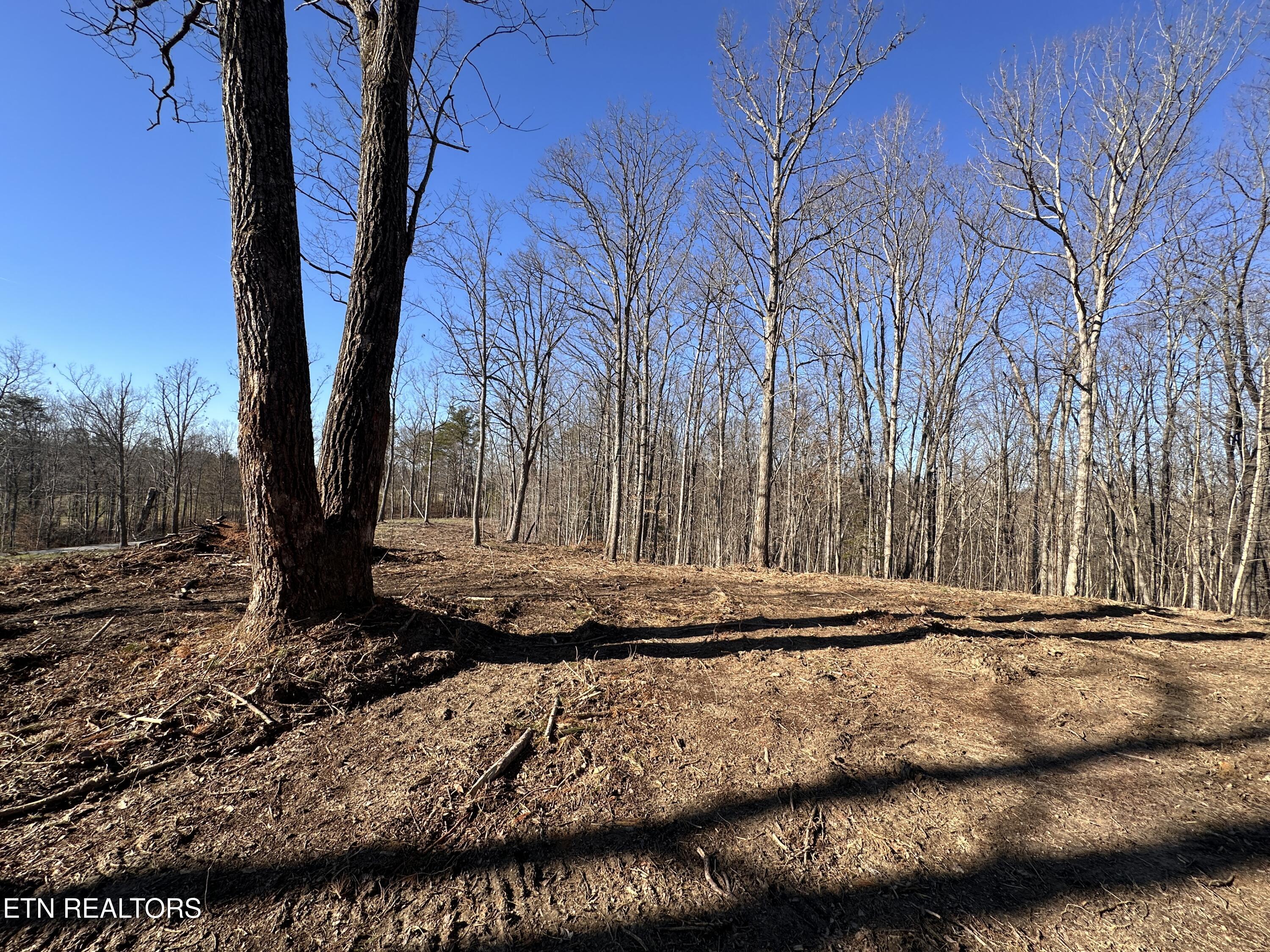 14.53 Ac Pickett Park Highway Jamestown TN 38556