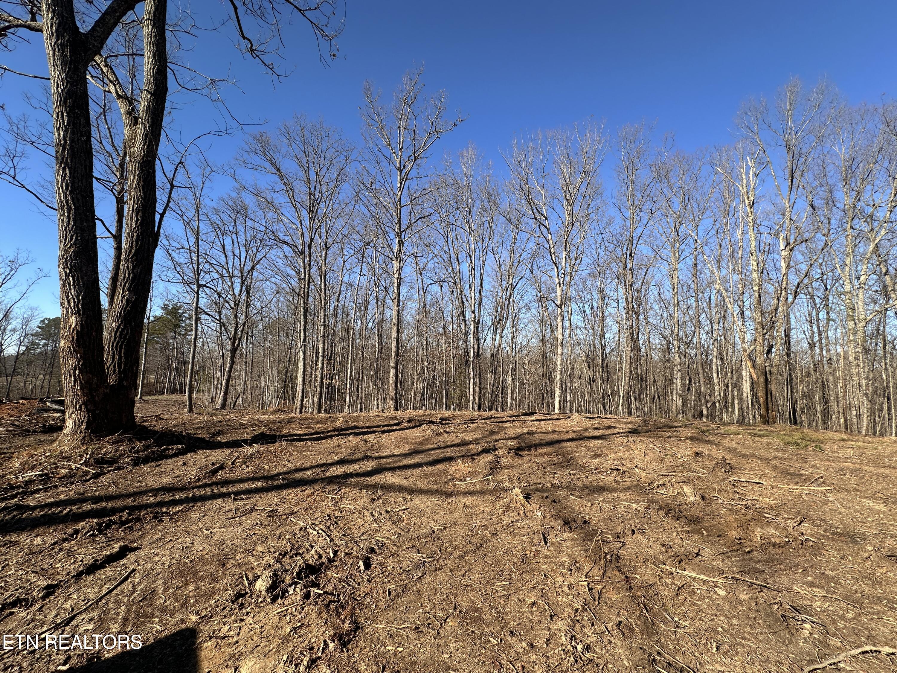14.53 Ac Pickett Park Highway Jamestown TN 38556