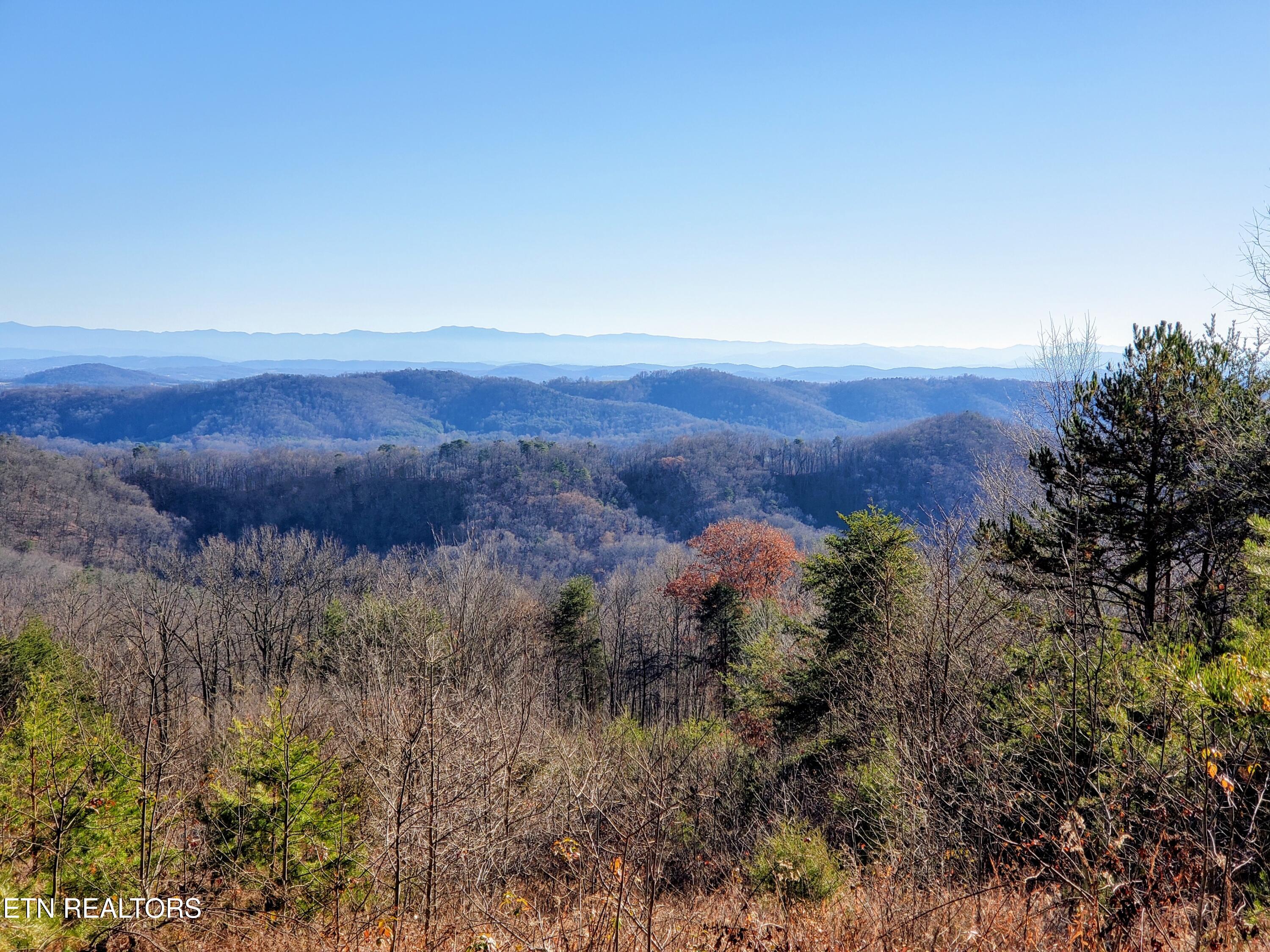 5960 Poor Valley Road Rutledge TN 37861