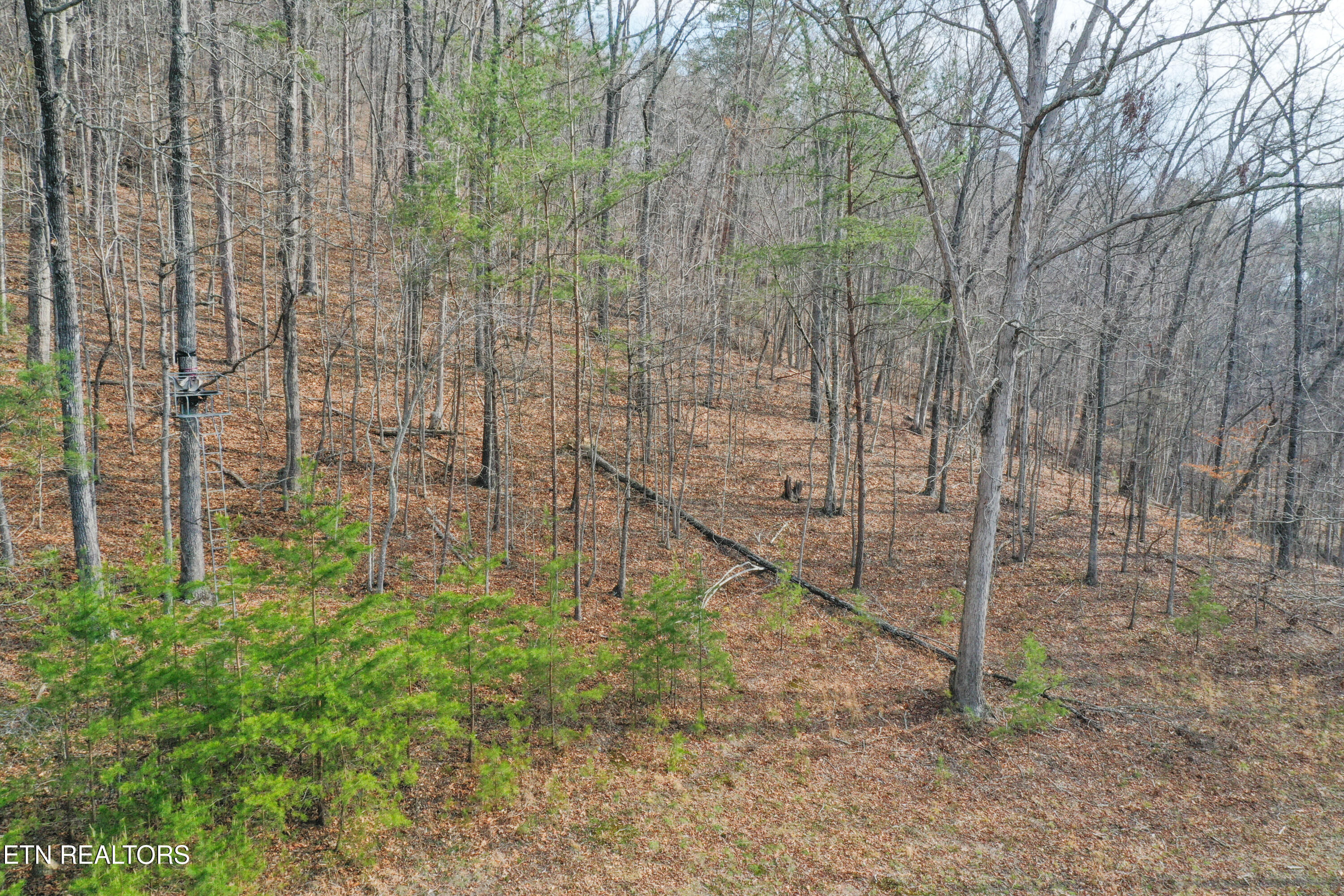 5960 Poor Valley Road Rutledge TN 37861