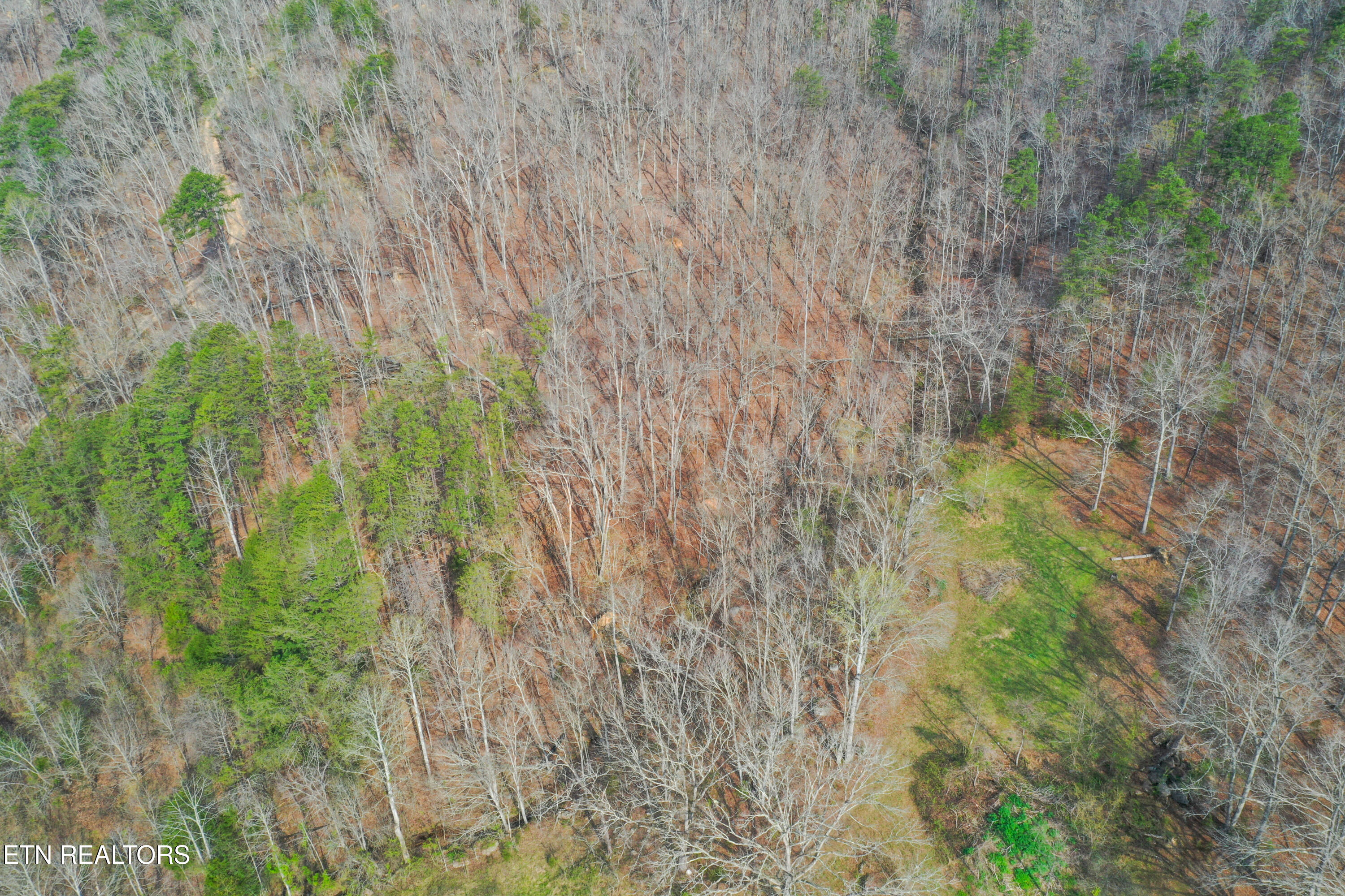 5960 Poor Valley Road Rutledge TN 37861