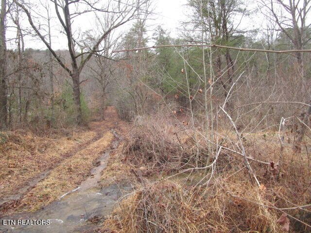 5960 Poor Valley Road Rutledge TN 37861