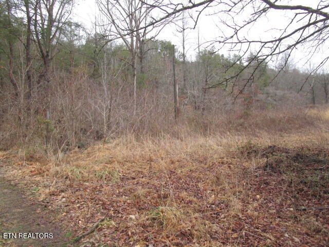 5960 Poor Valley Road Rutledge TN 37861