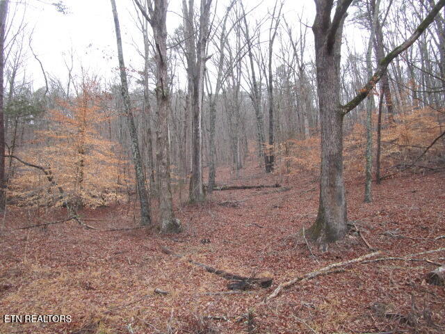 5960 Poor Valley Road Rutledge TN 37861