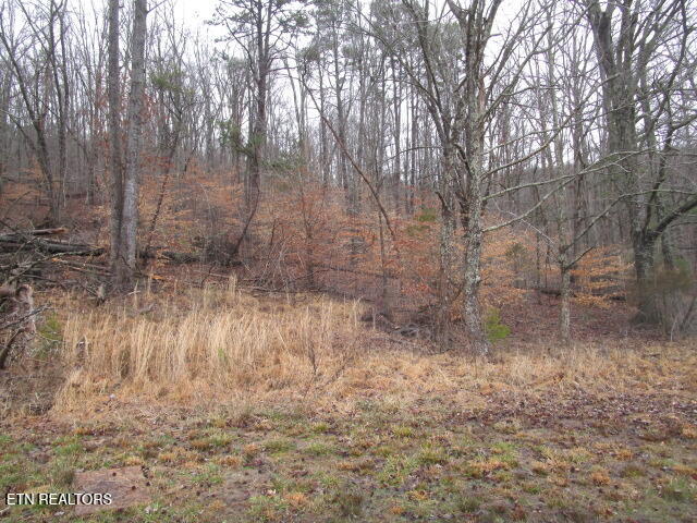 5960 Poor Valley Road Rutledge TN 37861