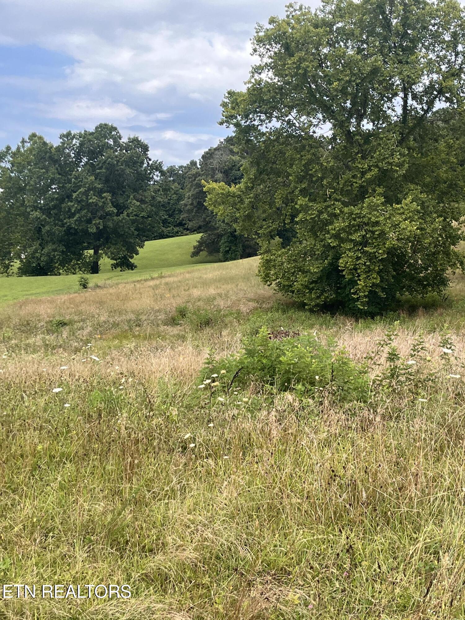 Valerie Lane Maynardville TN 37807