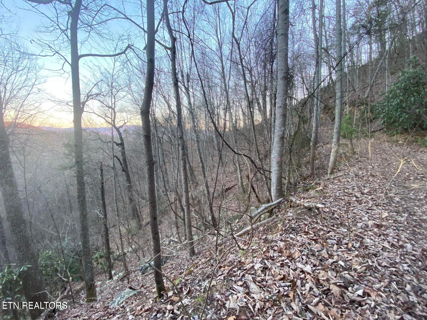 Lot 36 Elderberry Drive Sevierville TN 37876