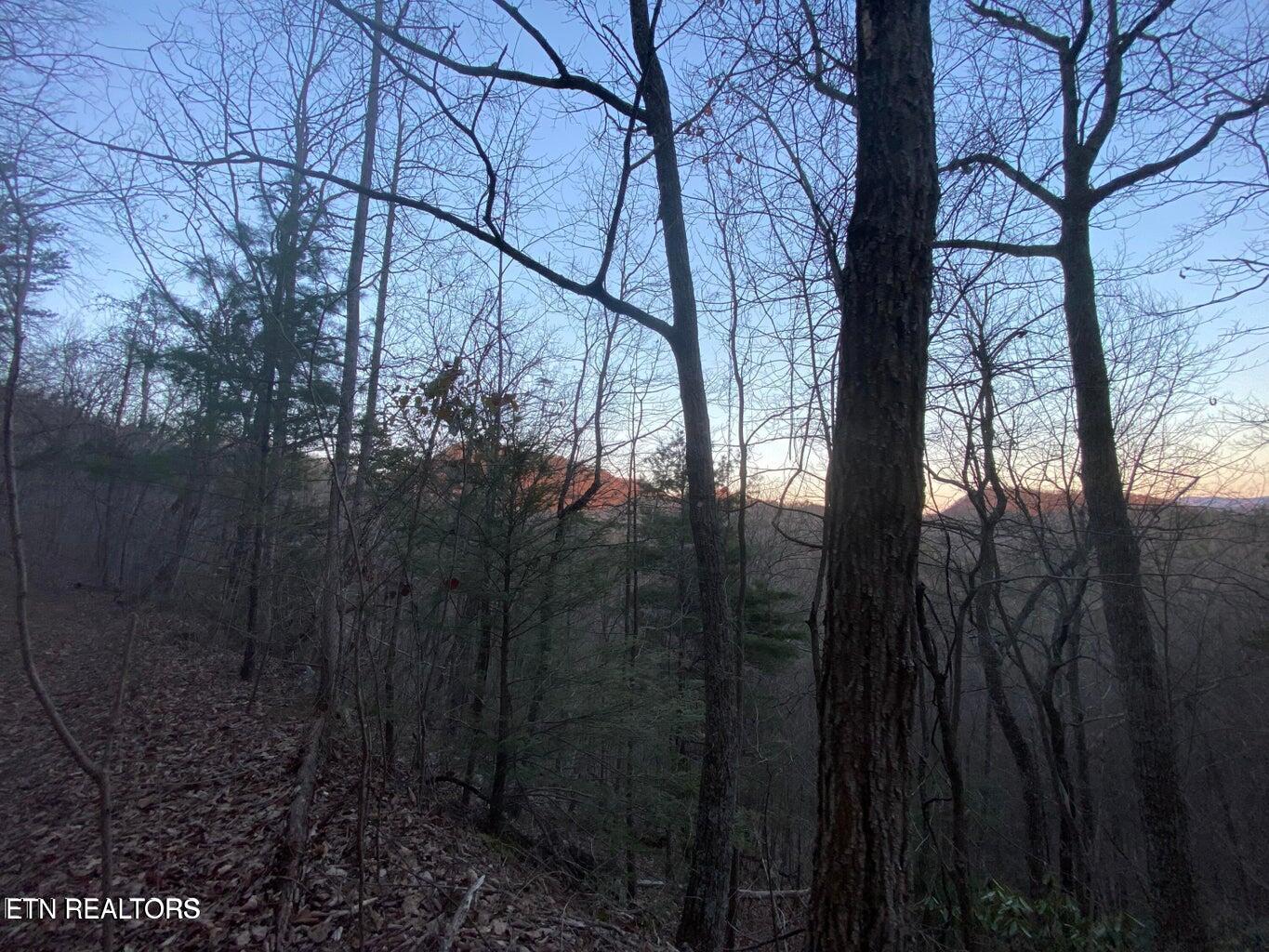 Lot 36 Elderberry Drive Sevierville TN 37876