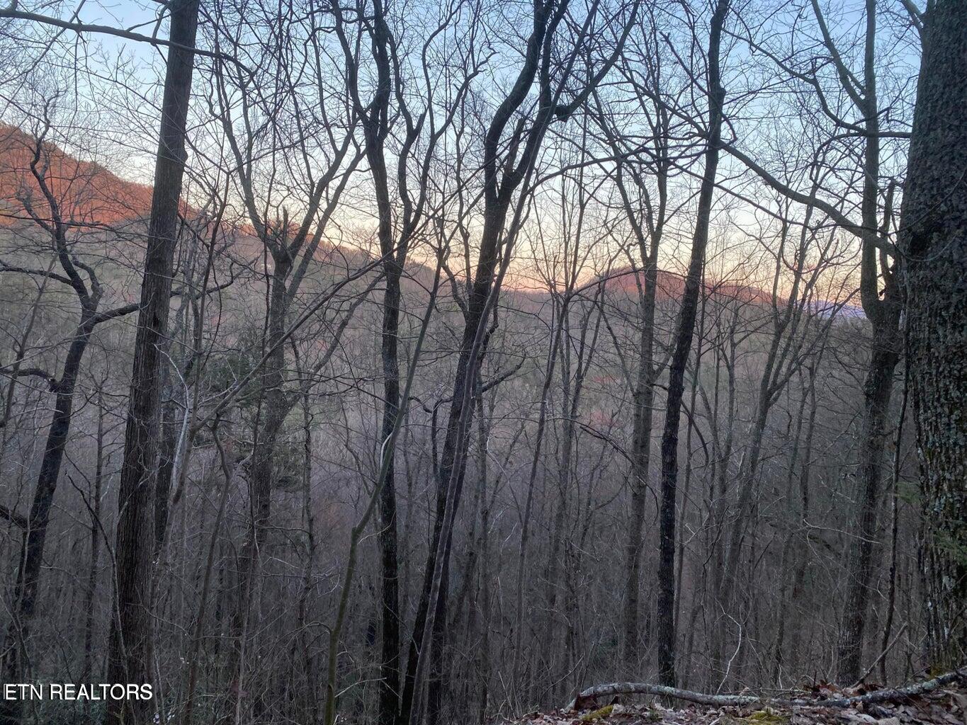 Lot 36 Elderberry Drive Sevierville TN 37876