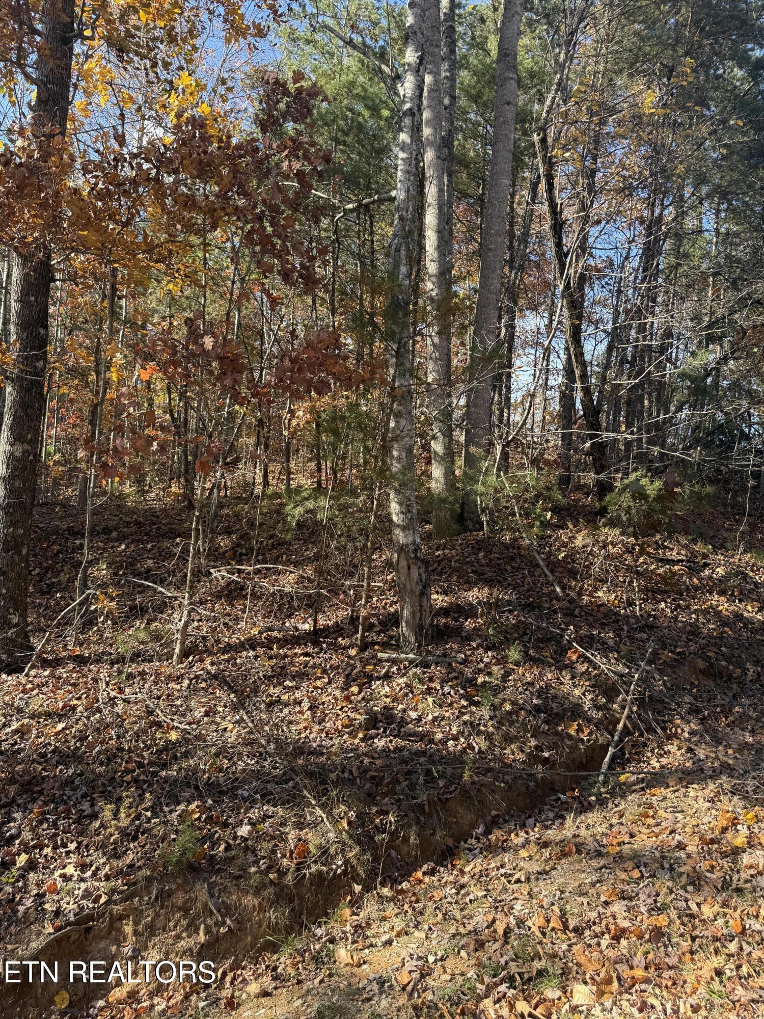 Scenic Woods Way Sevierville TN 37876
