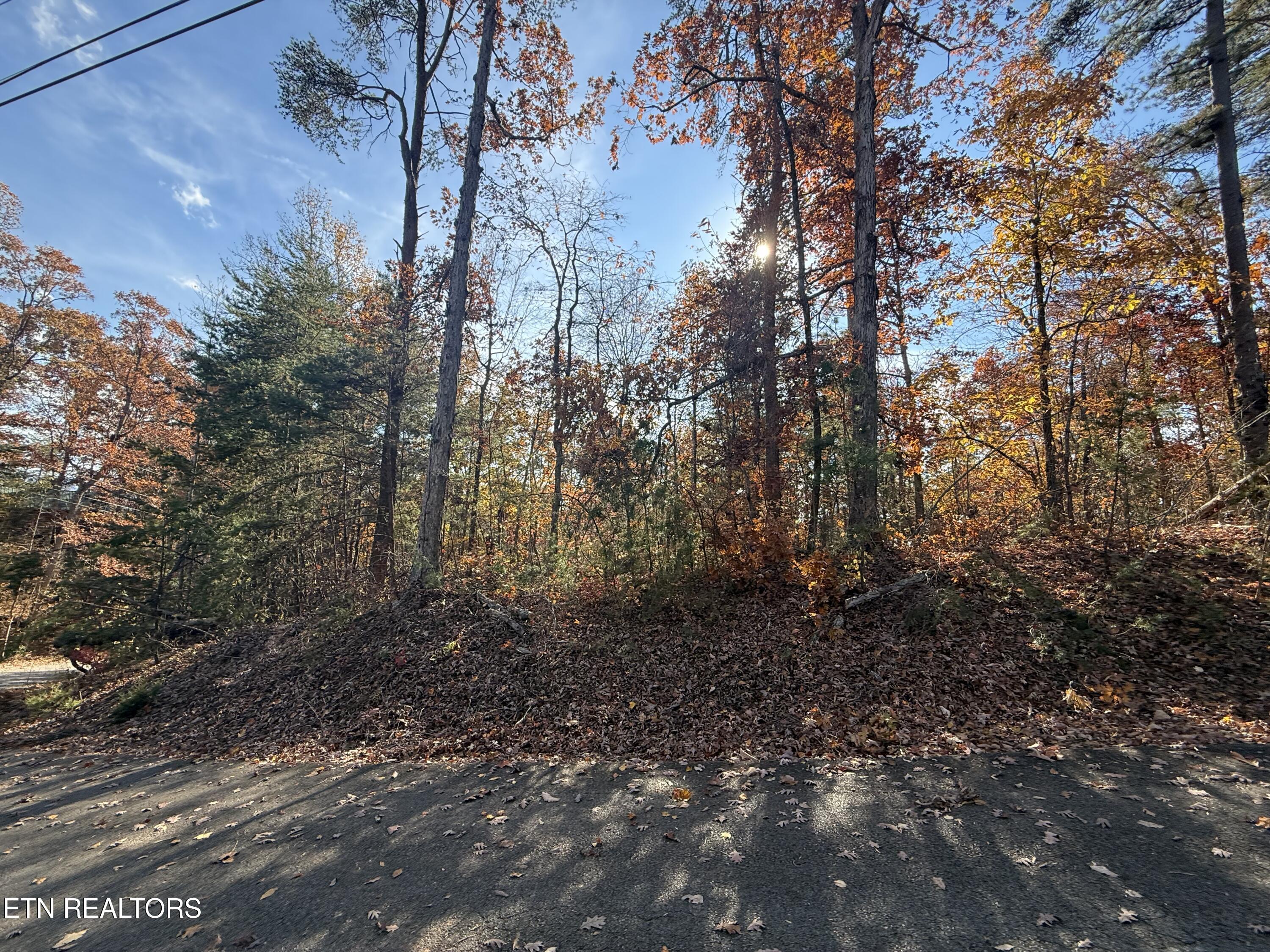 Scenic Woods Way Sevierville TN 37876