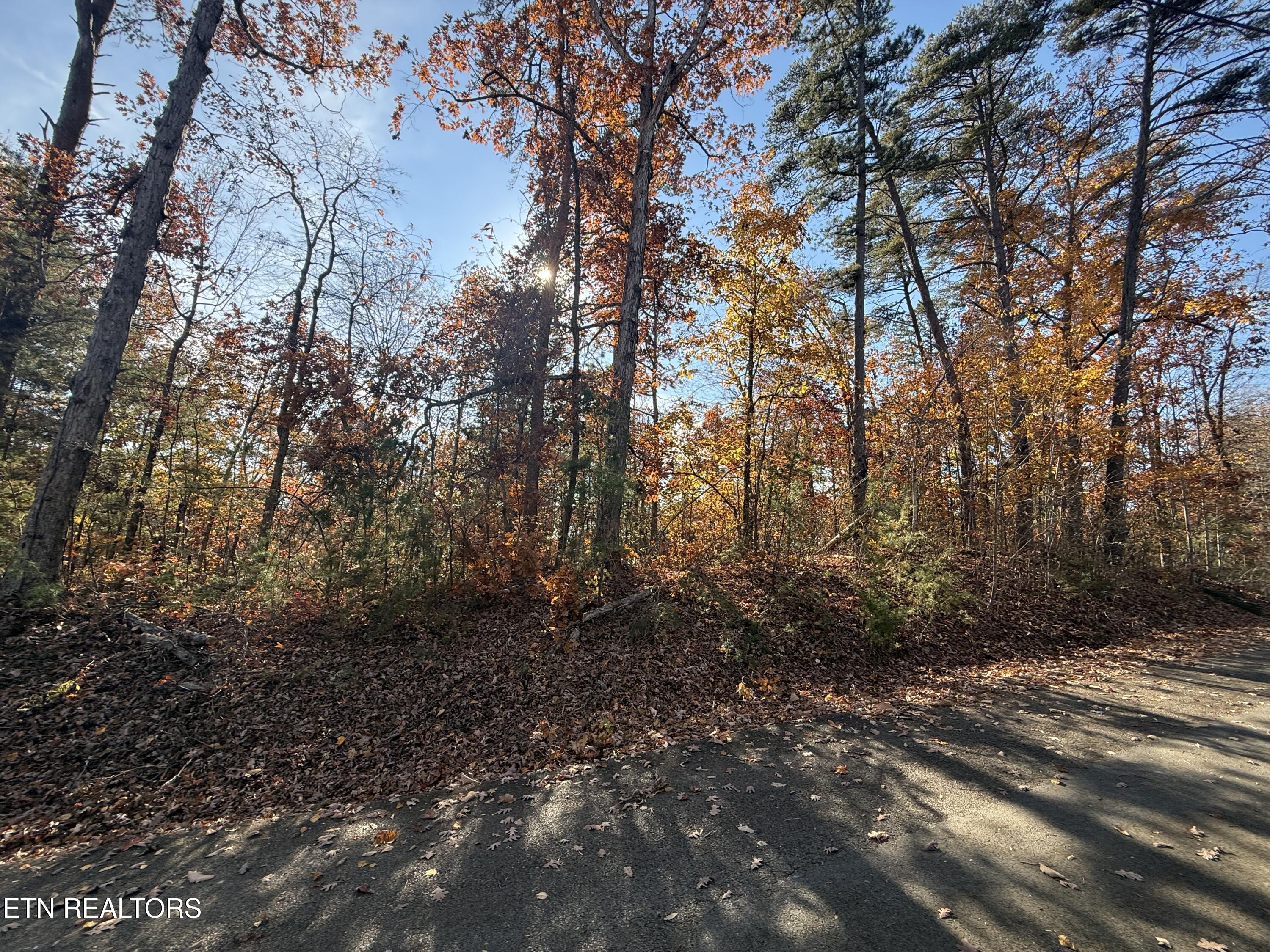 Scenic Woods Way Sevierville TN 37876