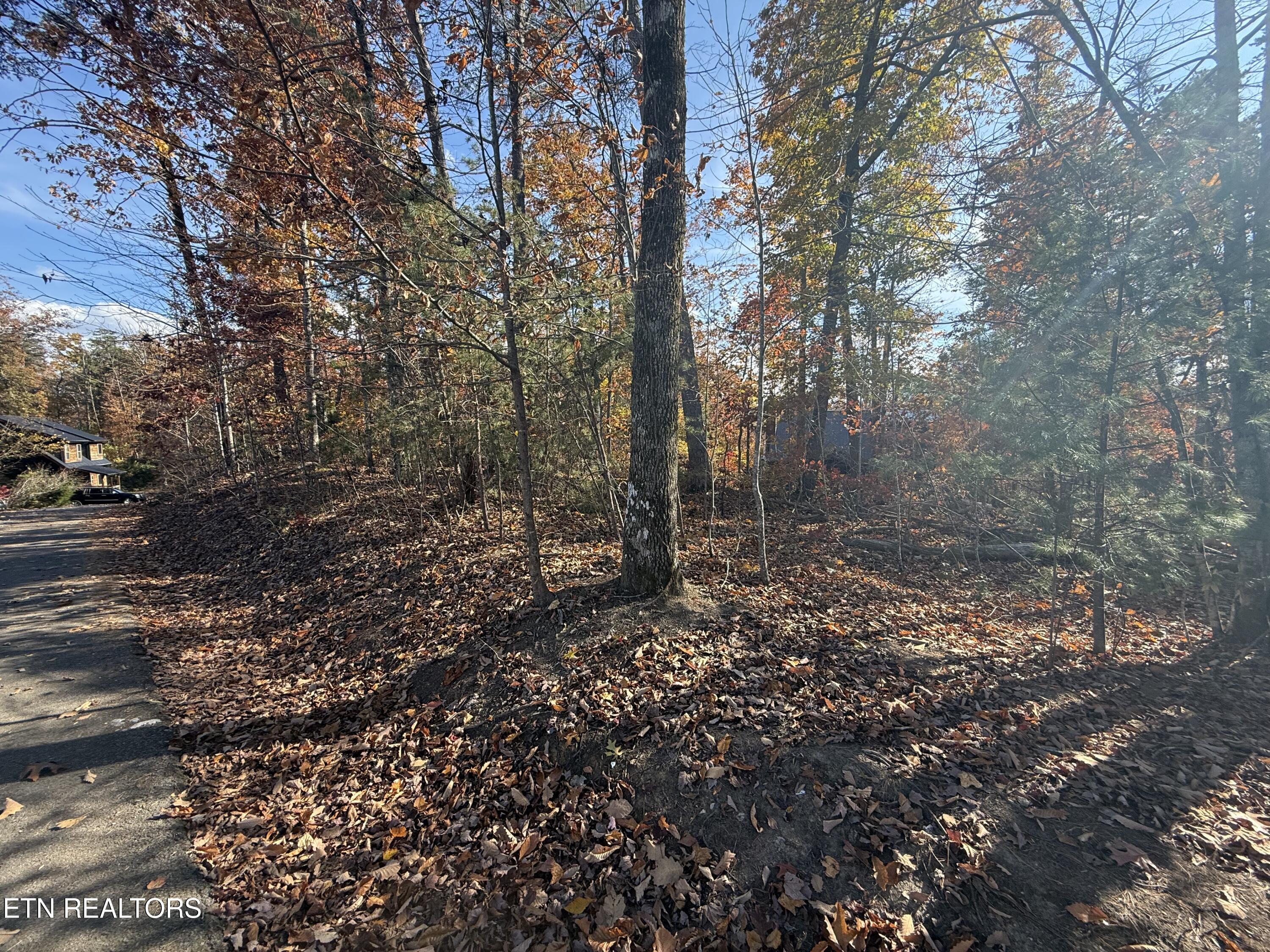 Scenic Woods Way Sevierville TN 37876