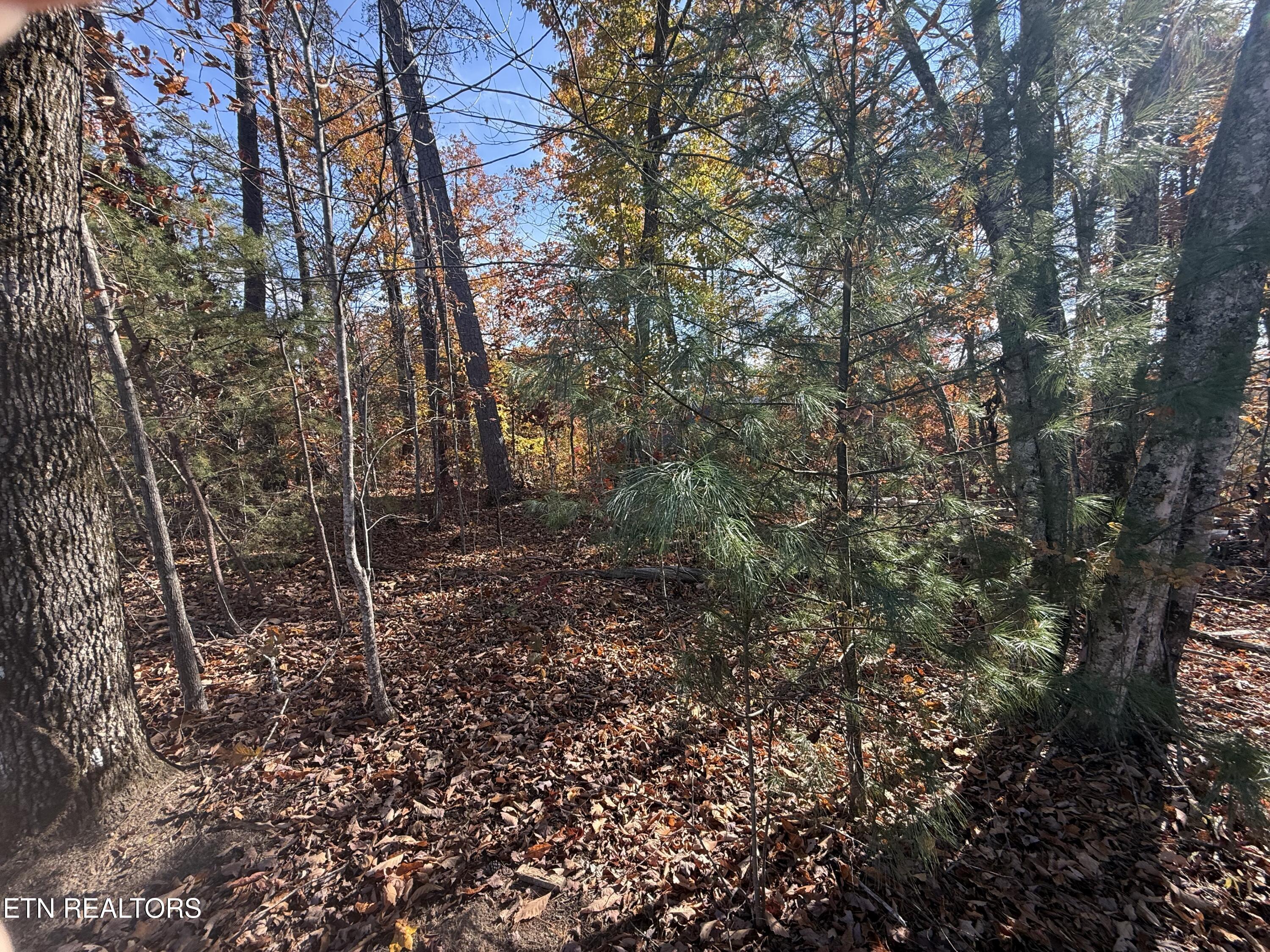 Scenic Woods Way Sevierville TN 37876