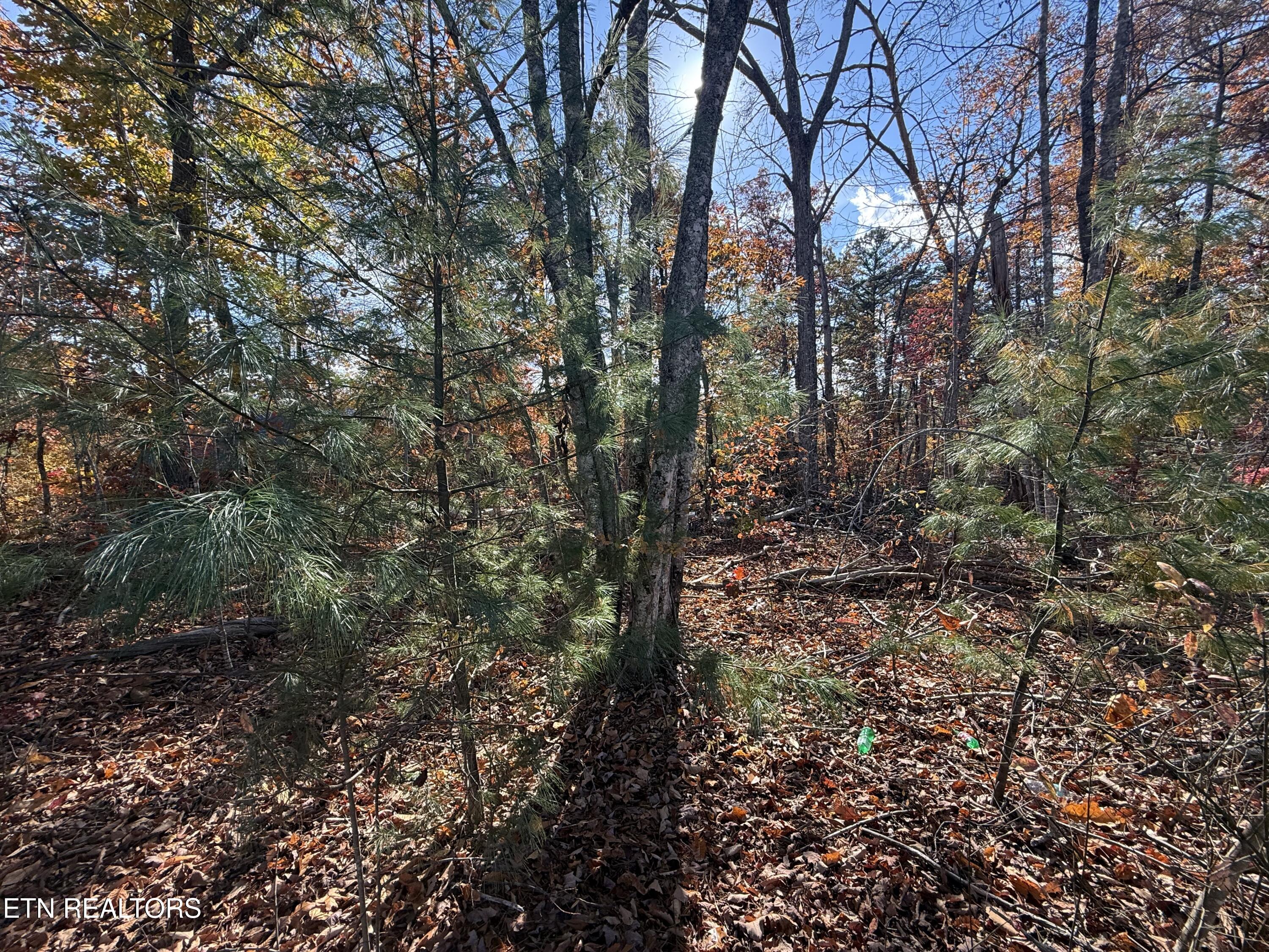 Scenic Woods Way Sevierville TN 37876