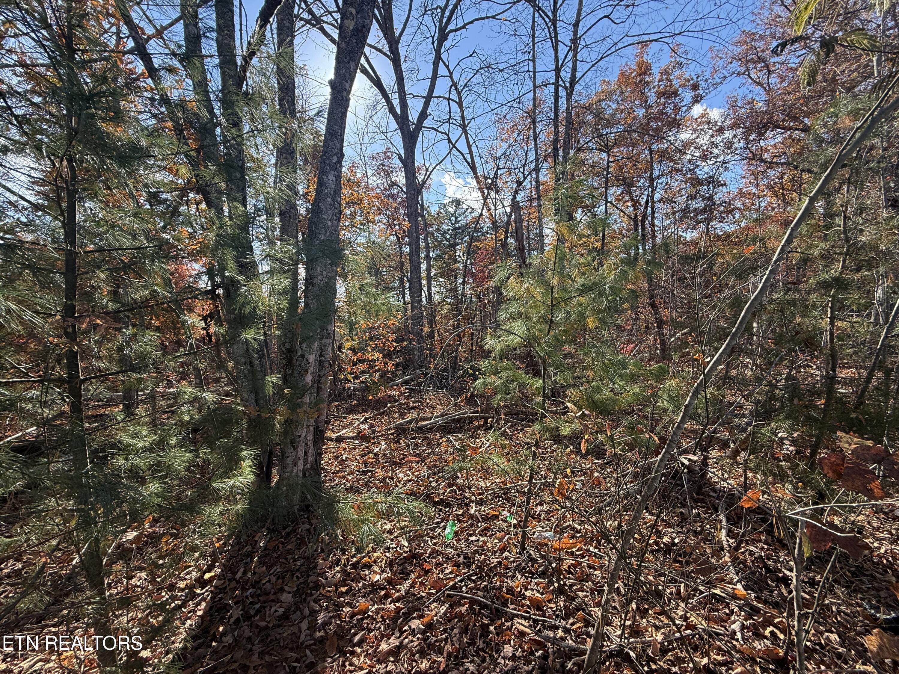 Scenic Woods Way Sevierville TN 37876