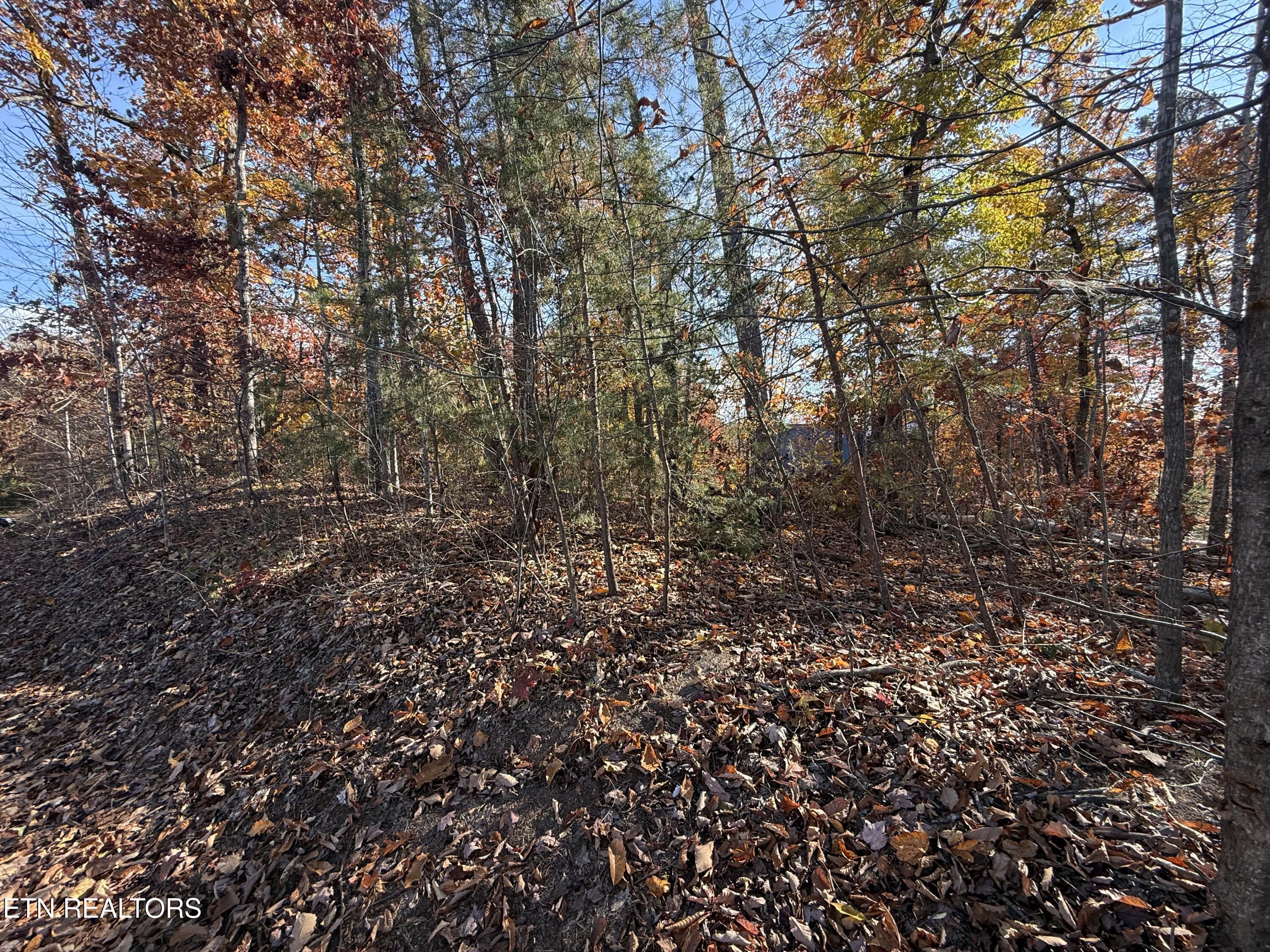 Scenic Woods Way Sevierville TN 37876