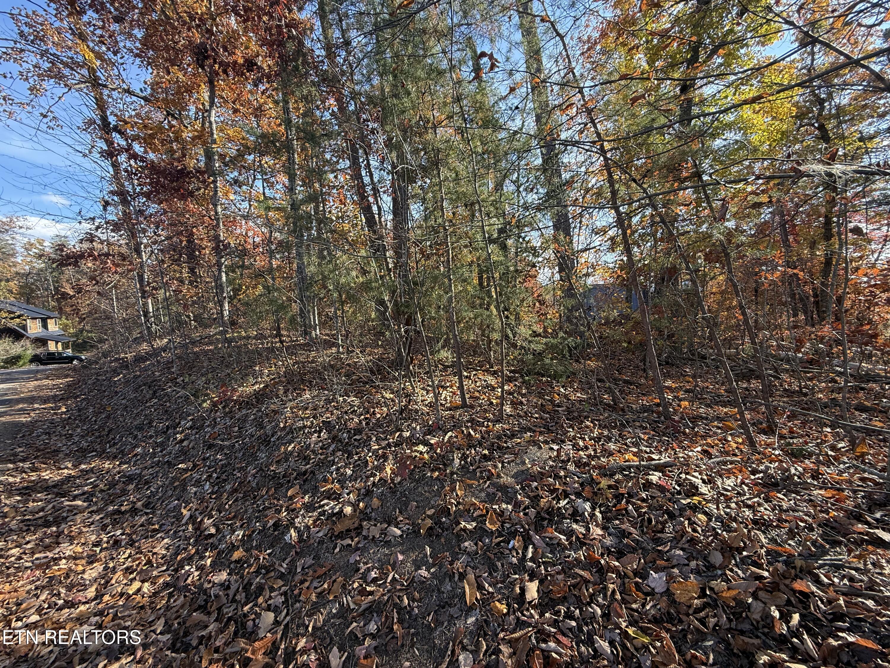 Scenic Woods Way Sevierville TN 37876