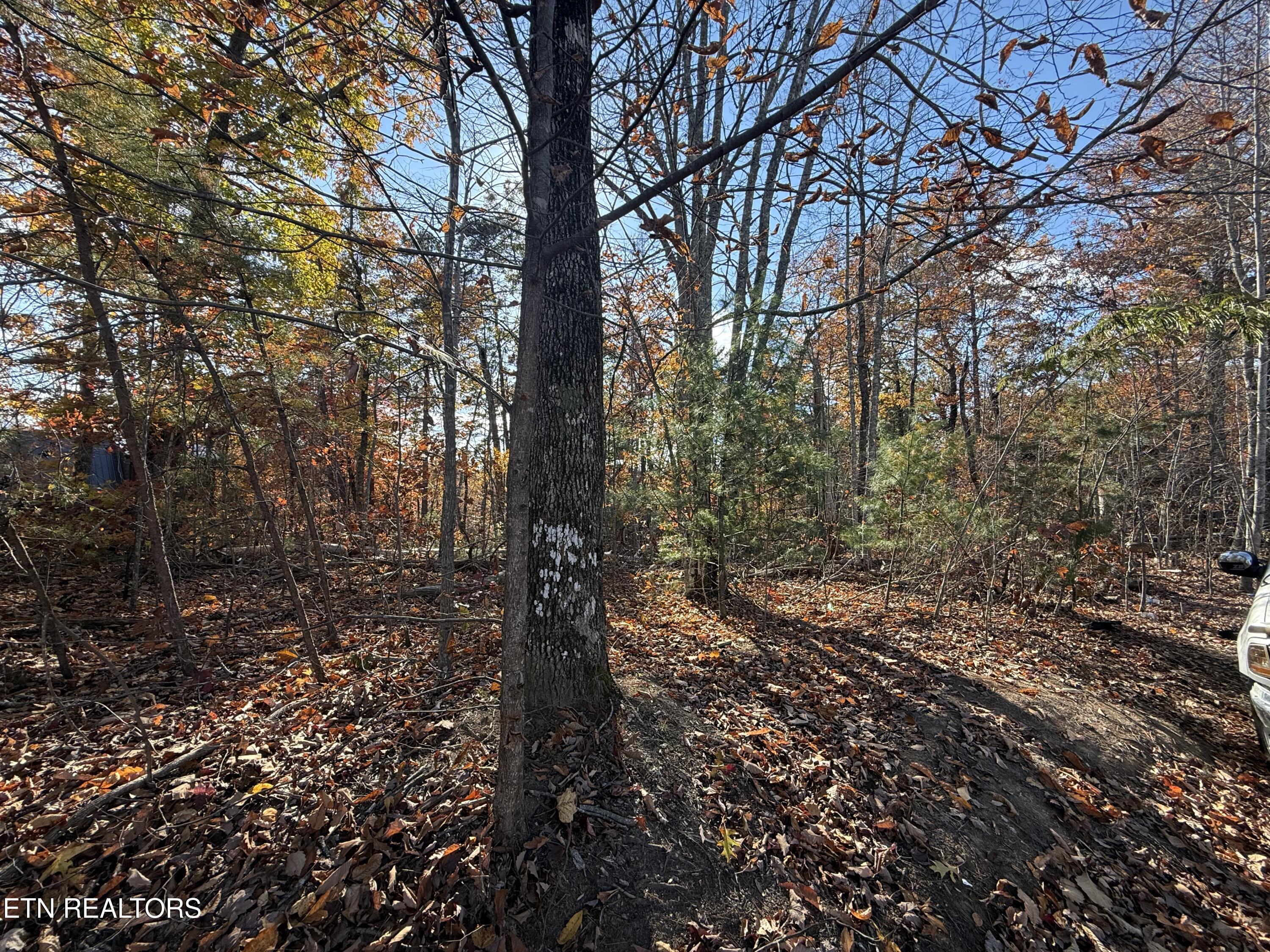 Scenic Woods Way Sevierville TN 37876