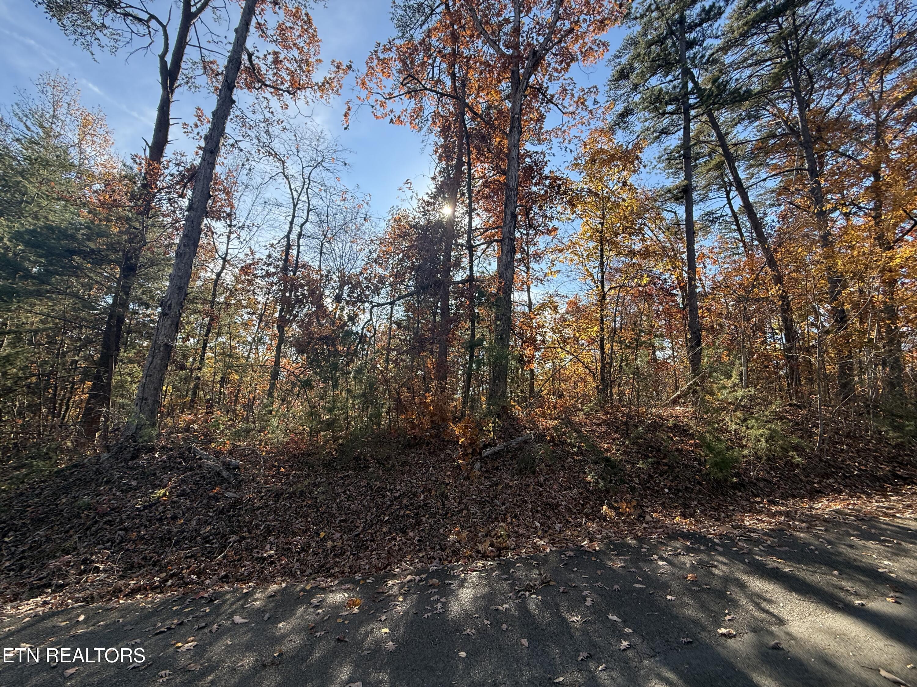 Scenic Woods Way Sevierville TN 37876
