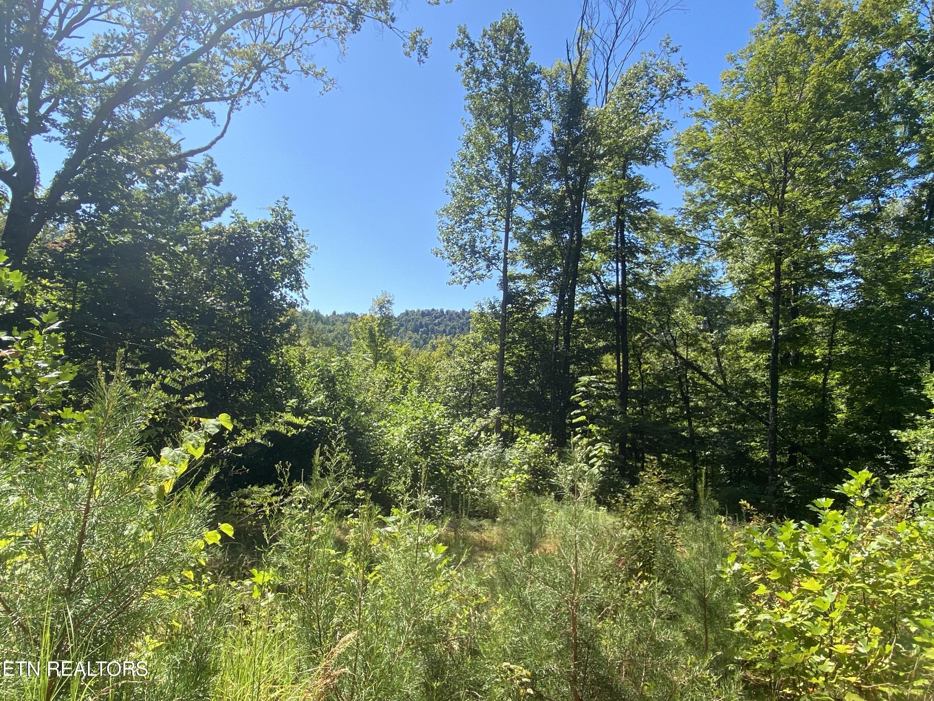 Double Top Road Jamestown TN 38556