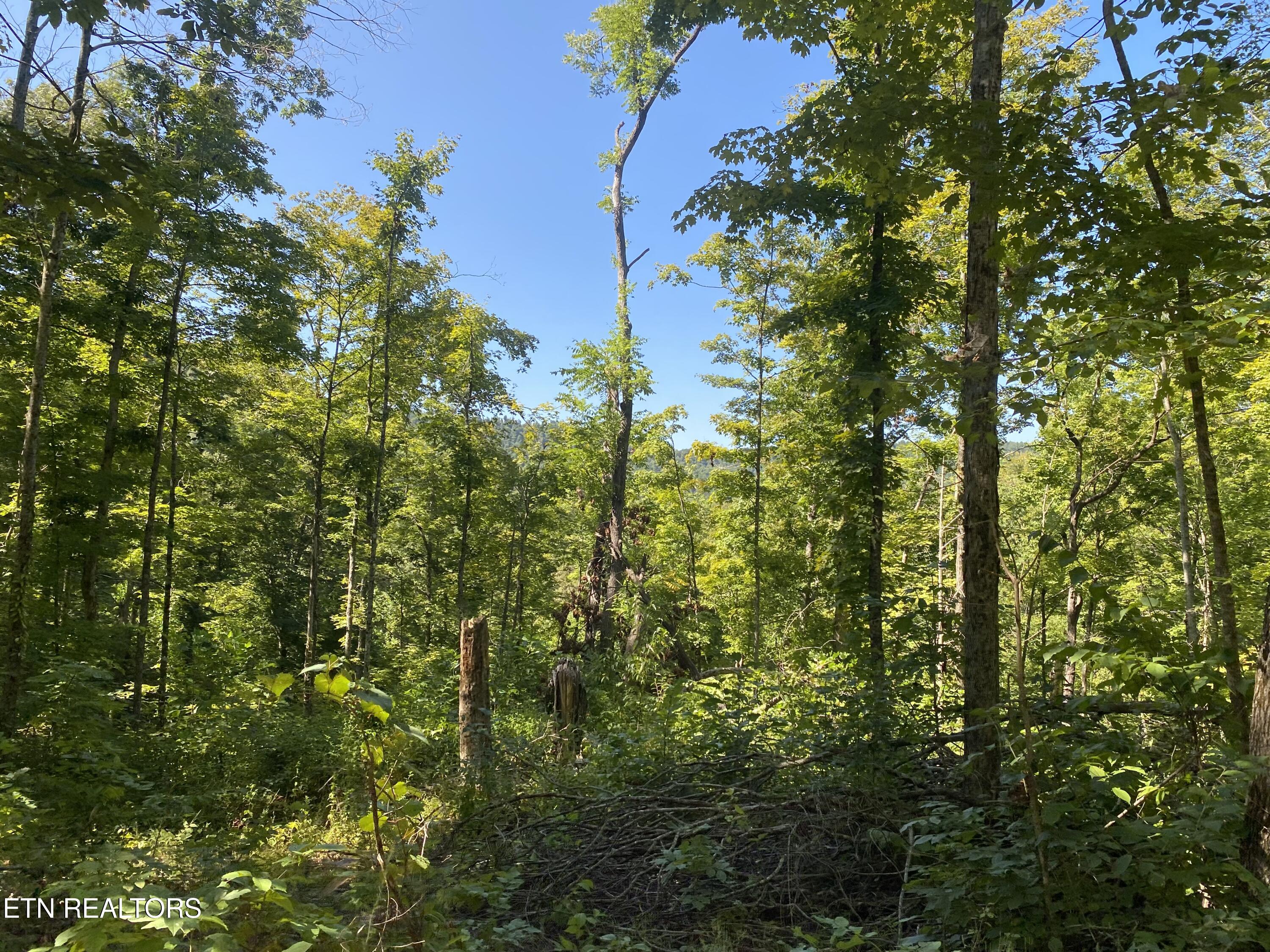 Double Top Road Jamestown TN 38556