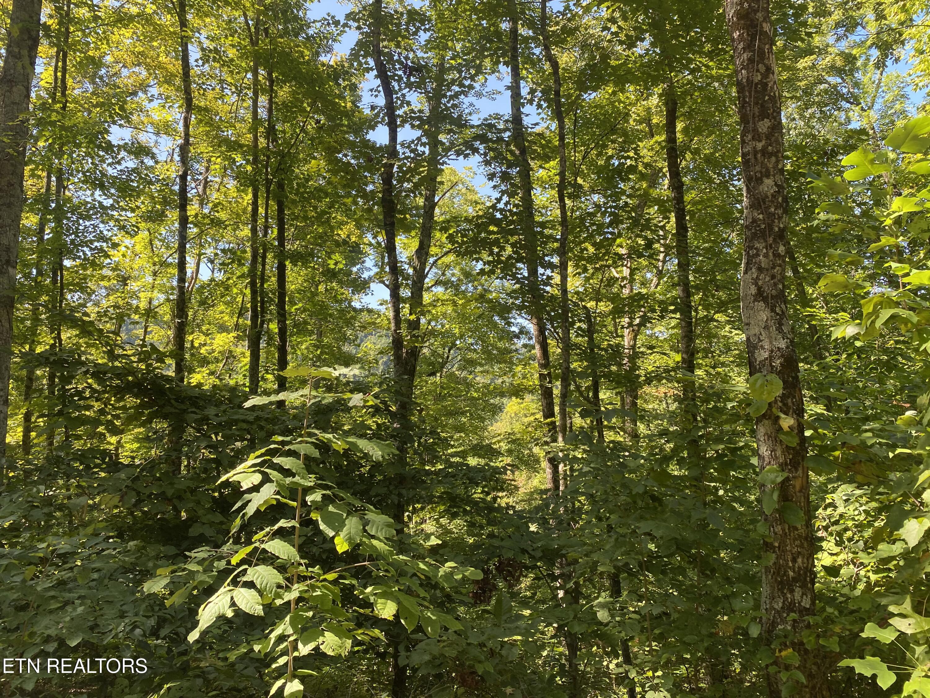 Double Top Road Jamestown TN 38556