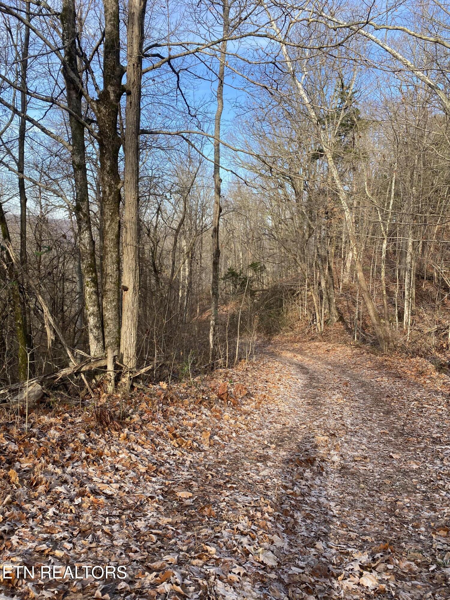 Double Top Road Jamestown TN 38556