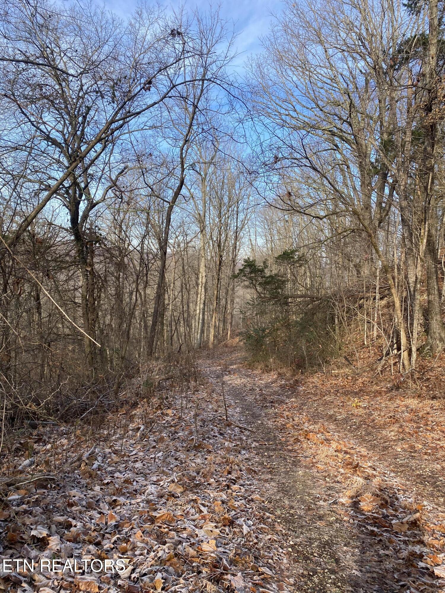 Double Top Road Jamestown TN 38556