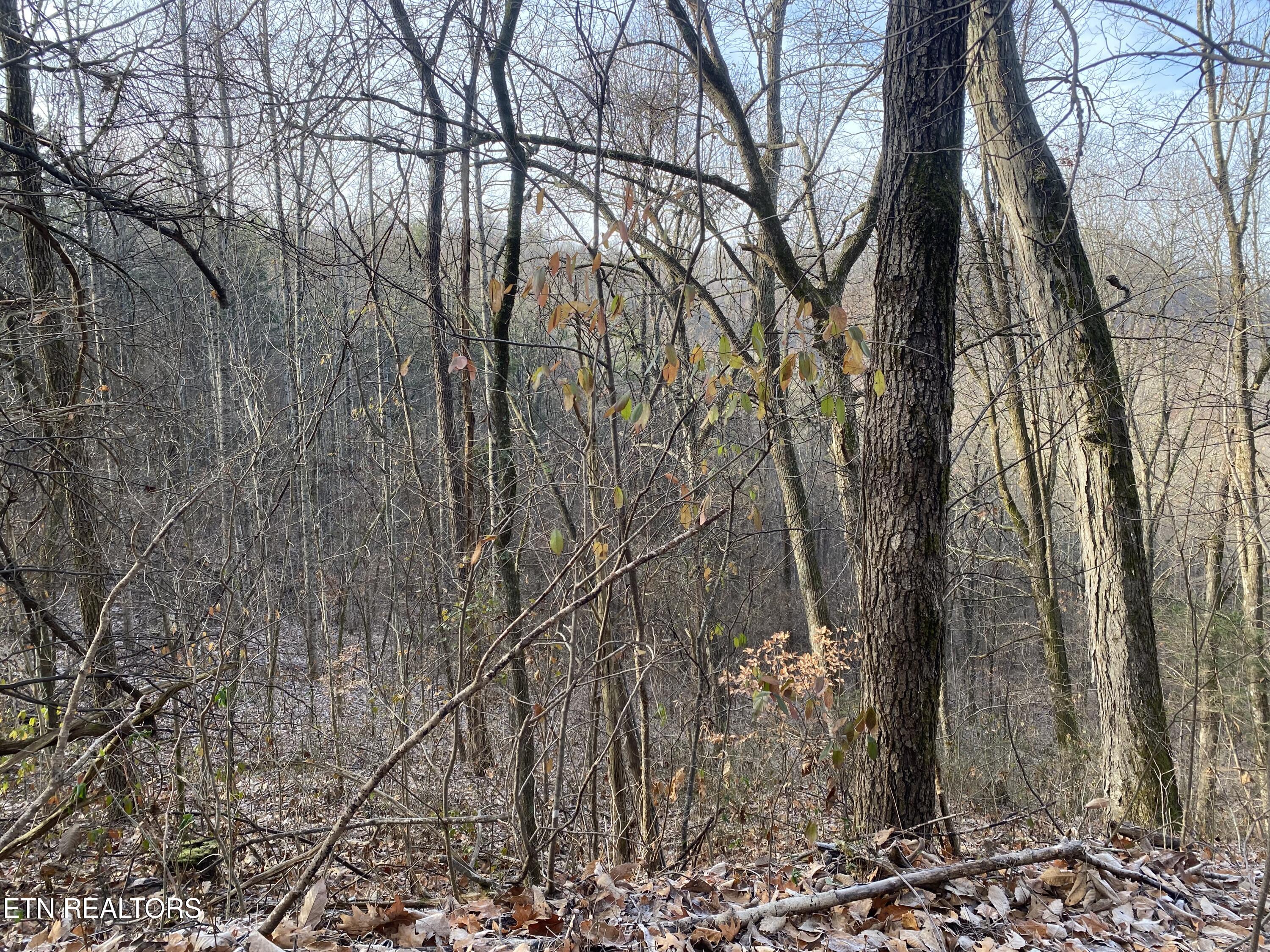 Double Top Road Jamestown TN 38556