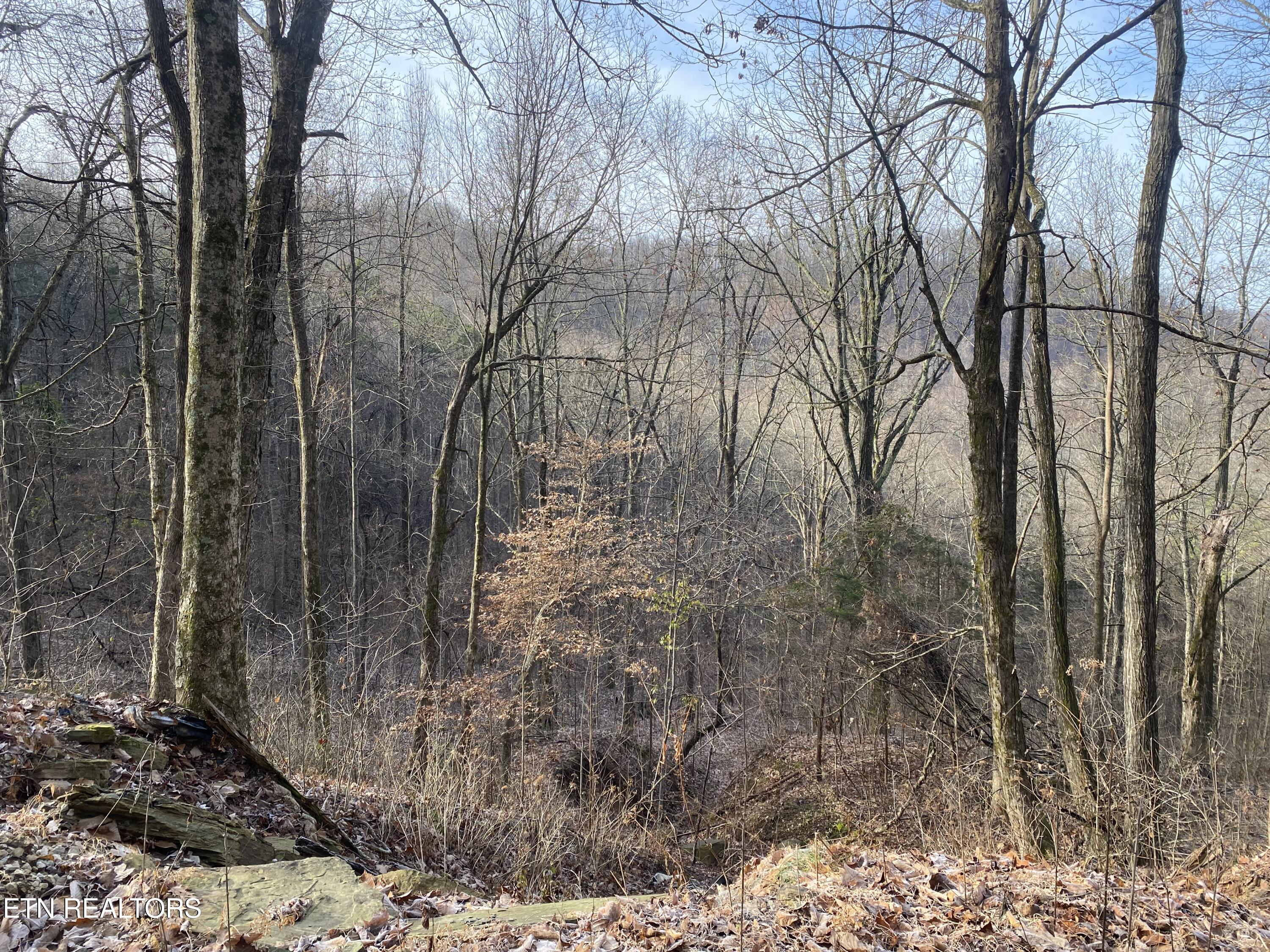 Double Top Road Jamestown TN 38556