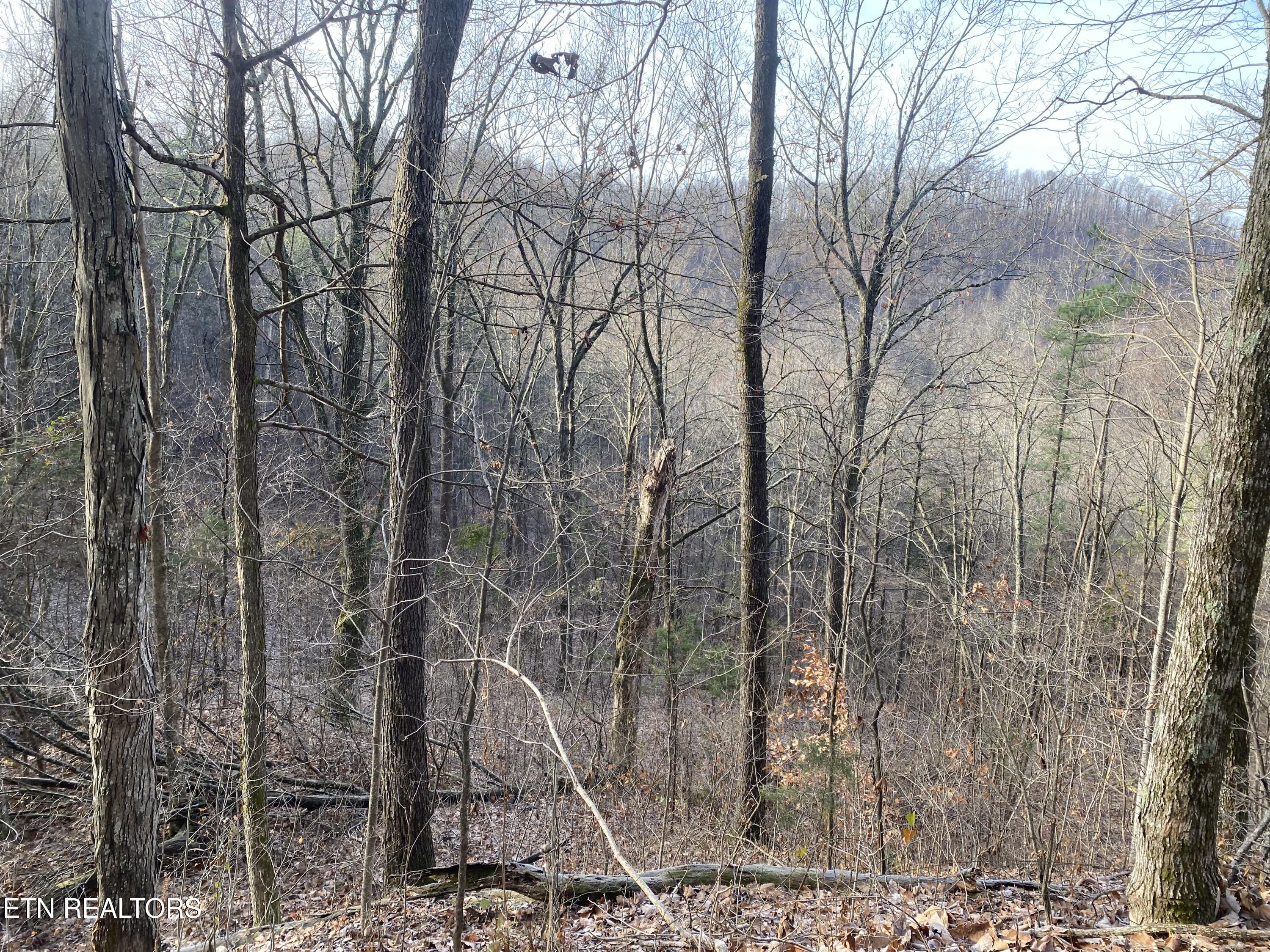 Double Top Road Jamestown TN 38556