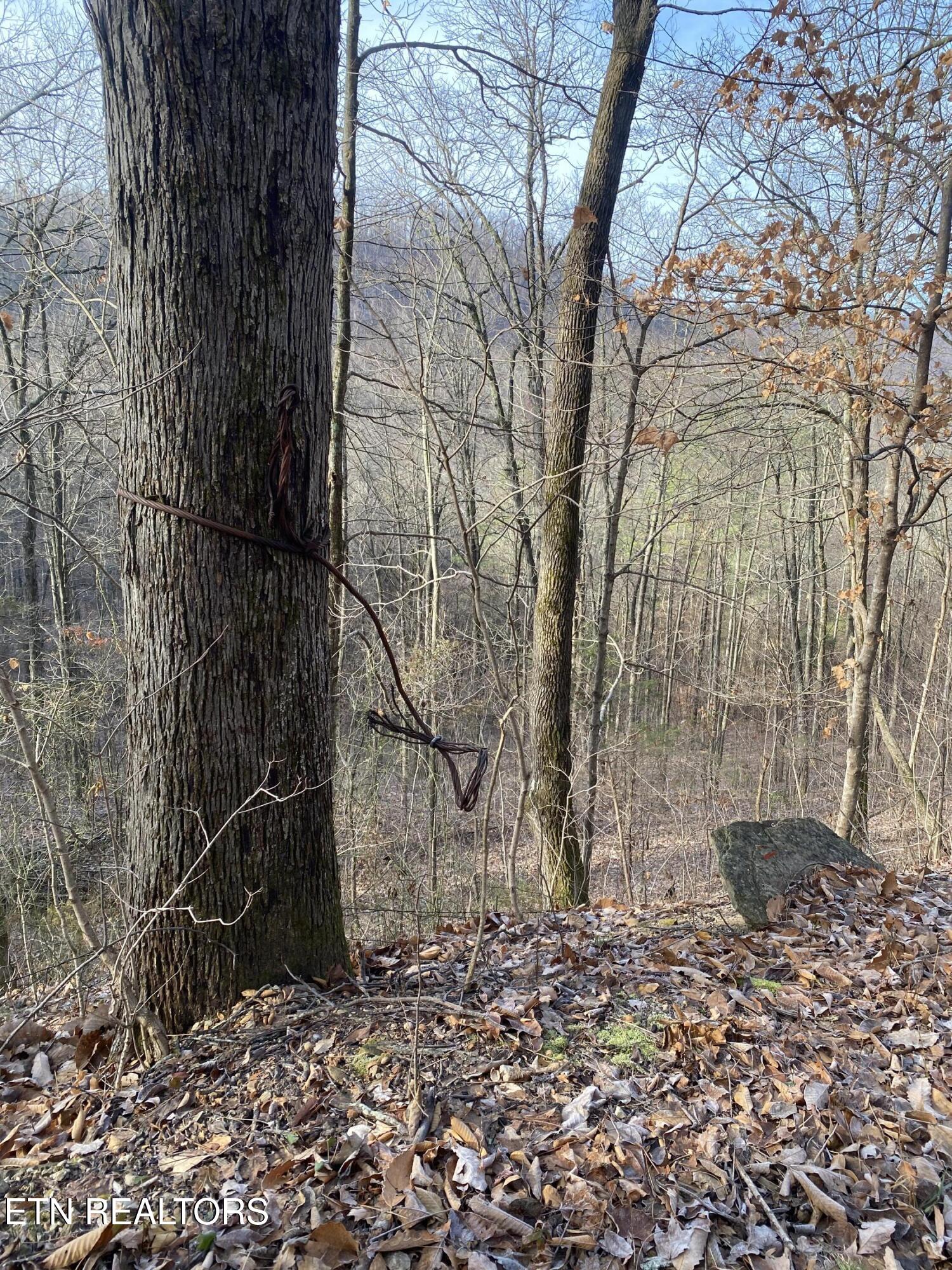 Double Top Road Jamestown TN 38556
