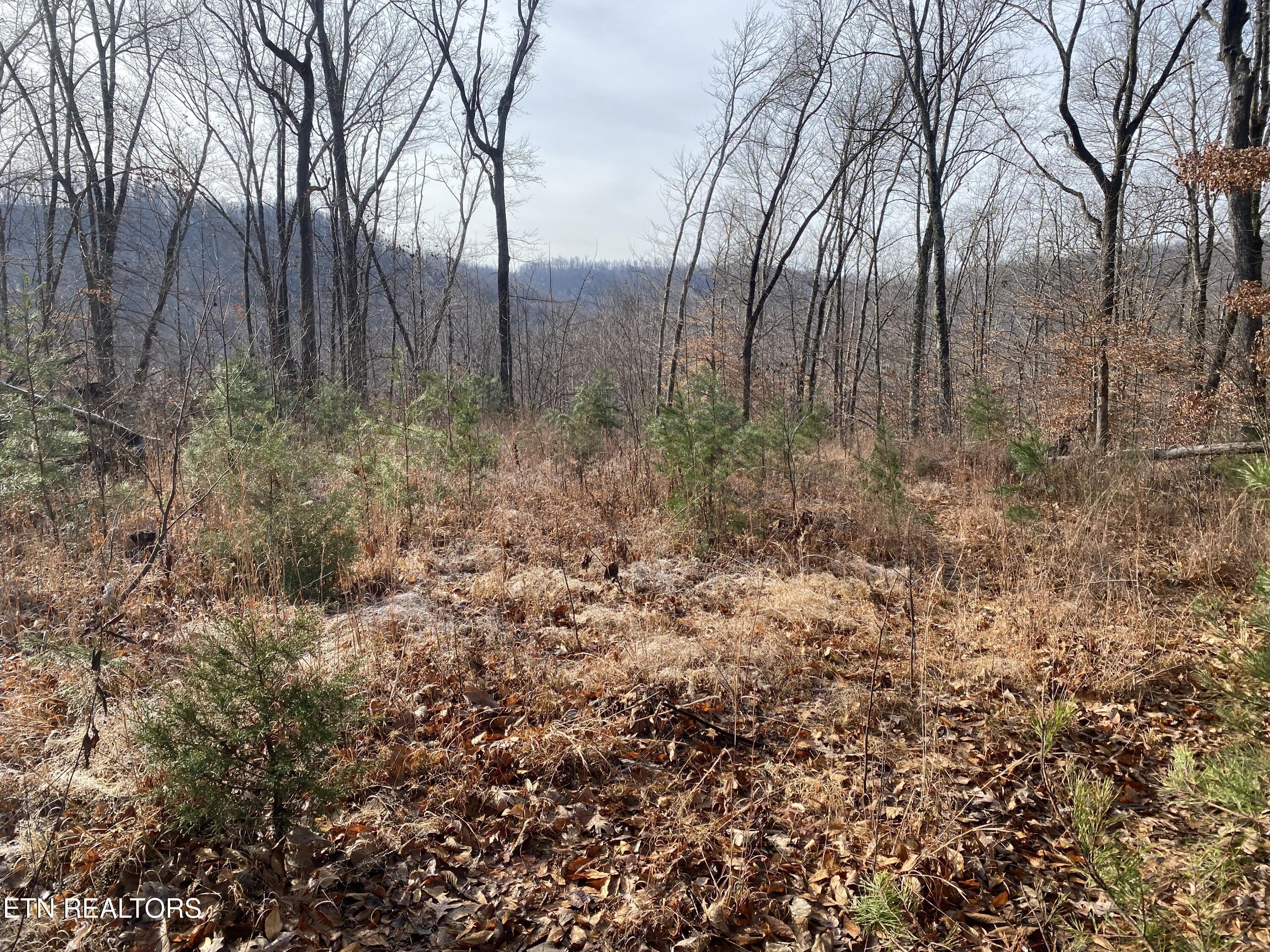 Double Top Road Jamestown TN 38556