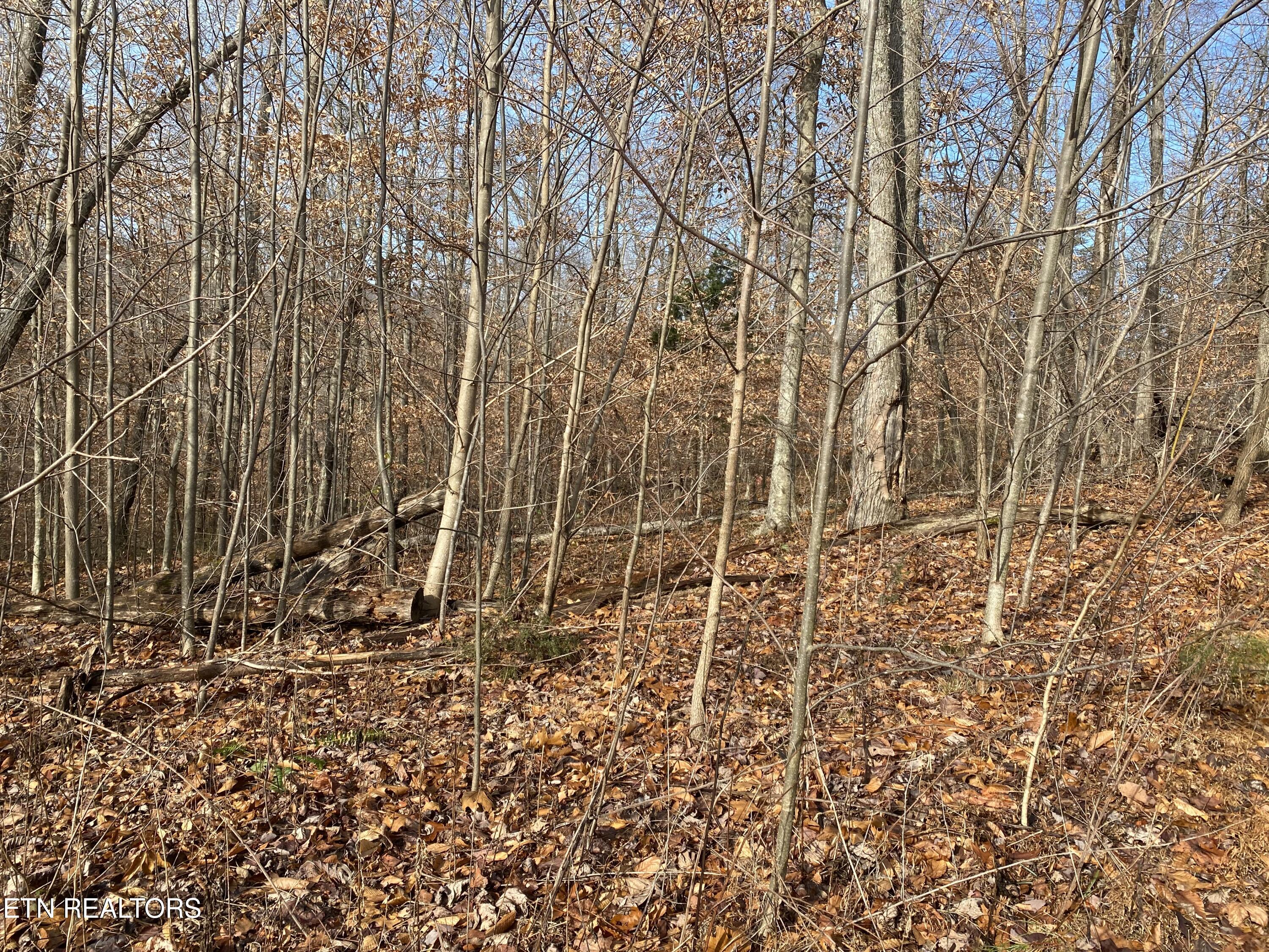 Double Top Road Jamestown TN 38556