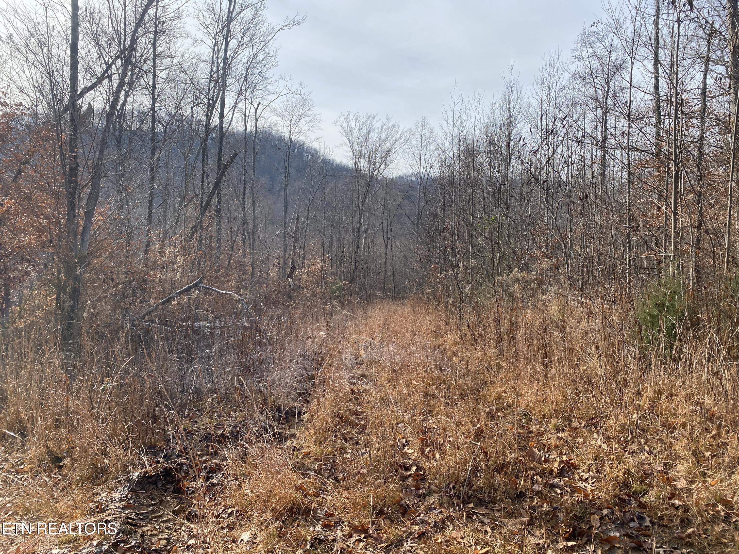 Double Top Road Jamestown TN 38556