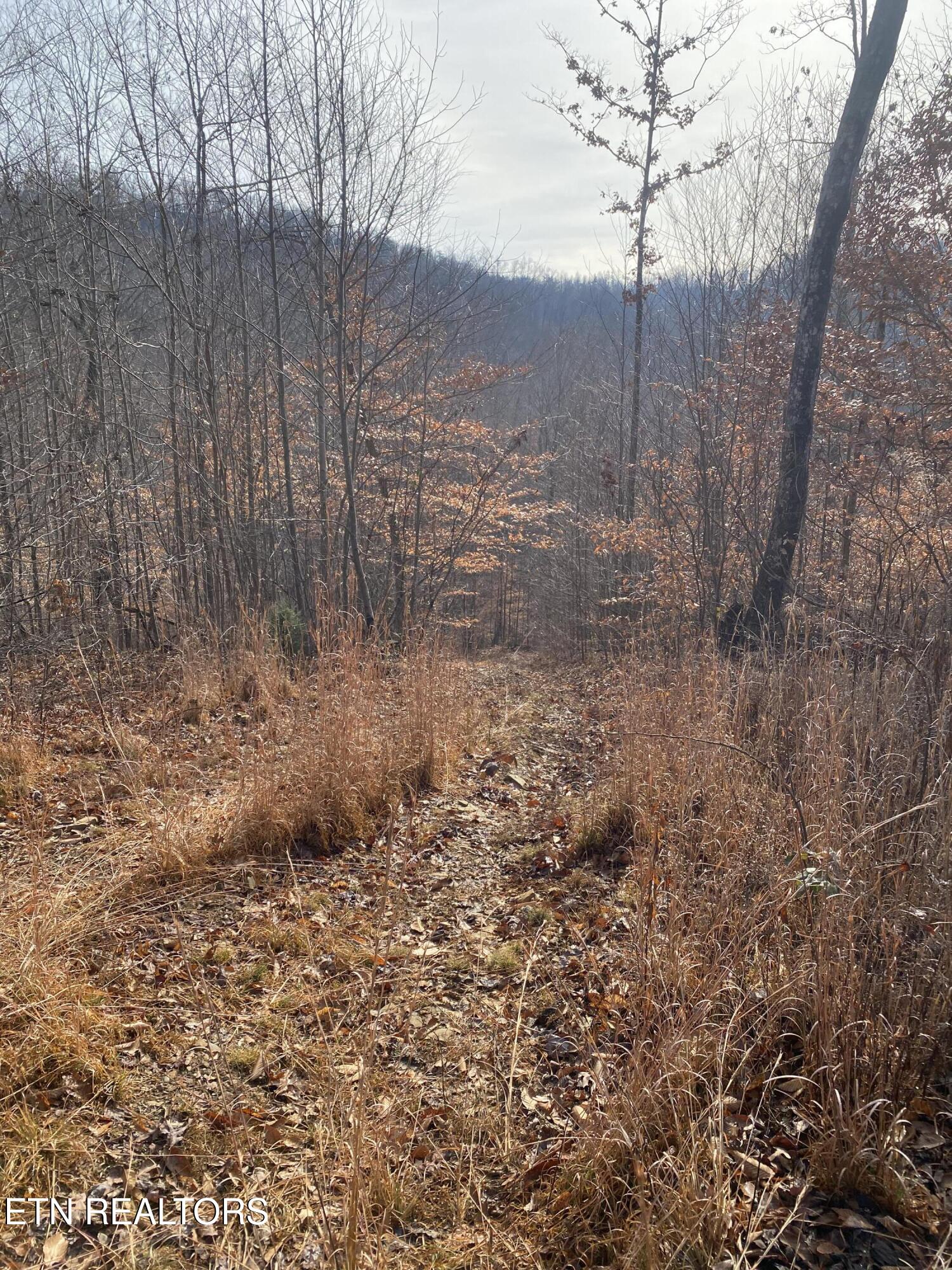 Double Top Road Jamestown TN 38556