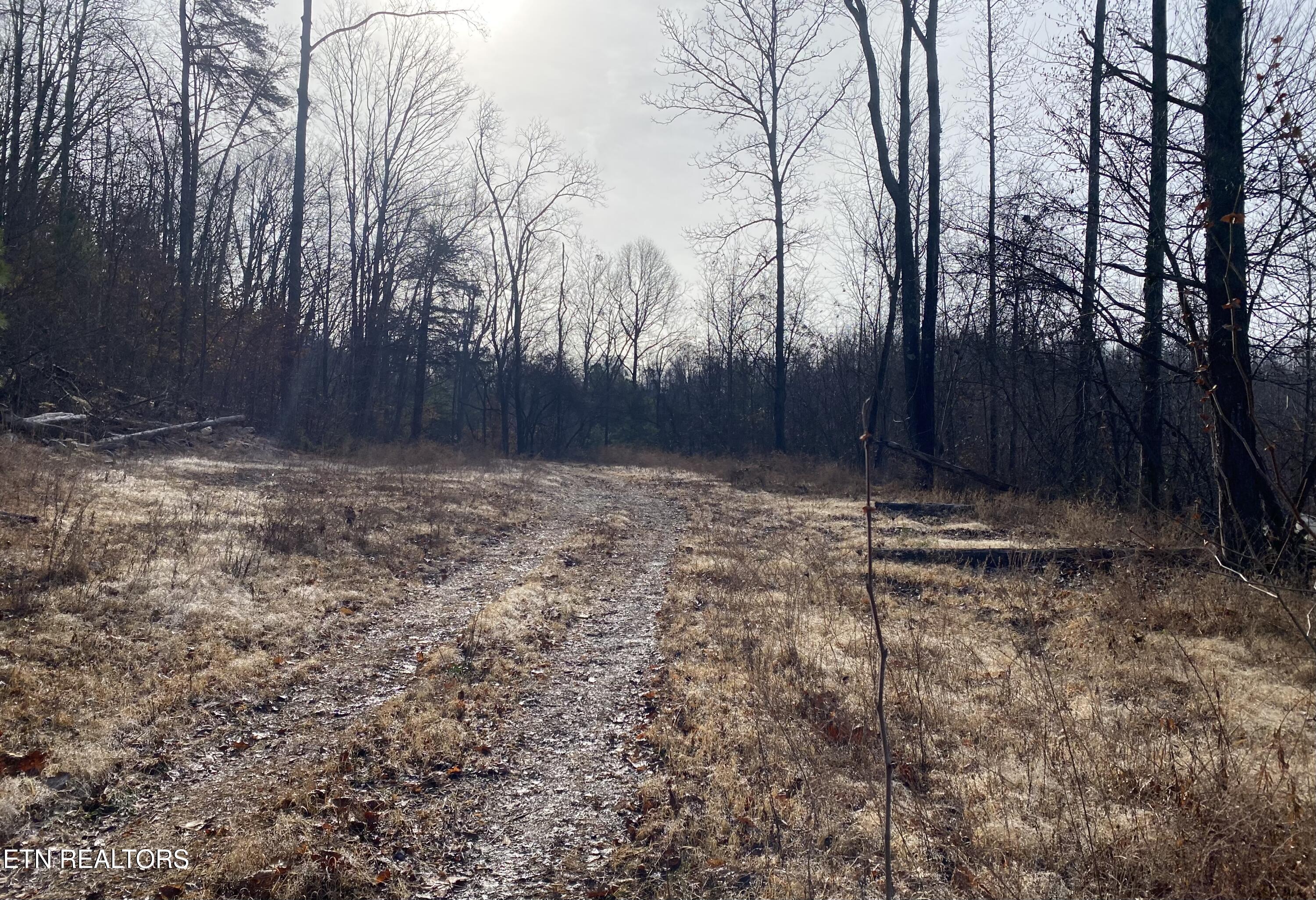Double Top Road Jamestown TN 38556