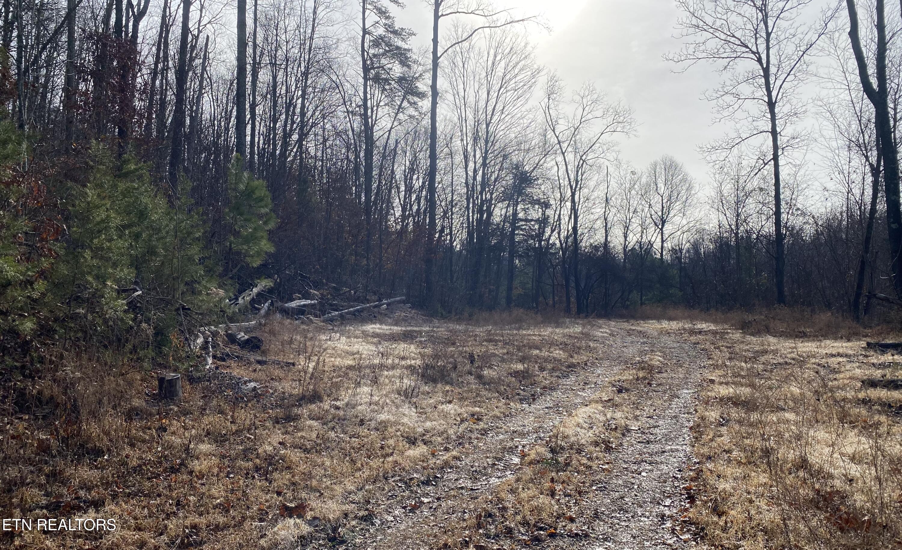 Double Top Road Jamestown TN 38556